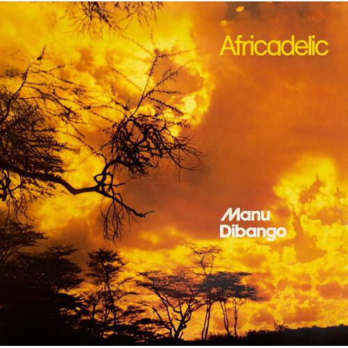Africadelic Vinyl LP - Authentic African Music Record for Collectors & Music Lovers | Perfect for Home Listening, Gifts & Vinyl Collections