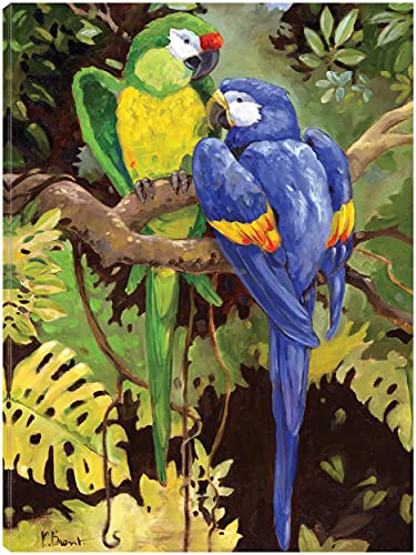 Green and Blue Tropical Macaw