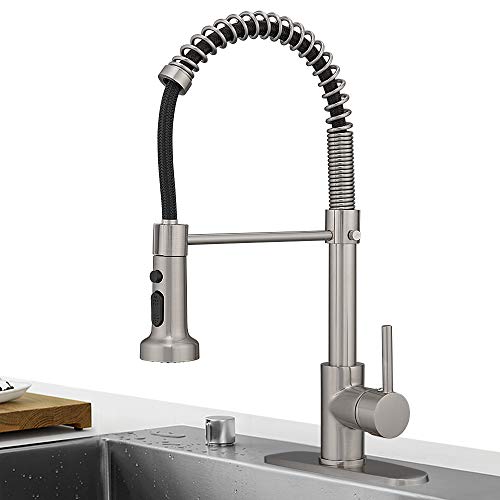 Brushed Nickel&Black Hose