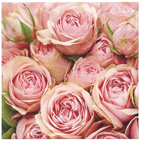 Pink Roses