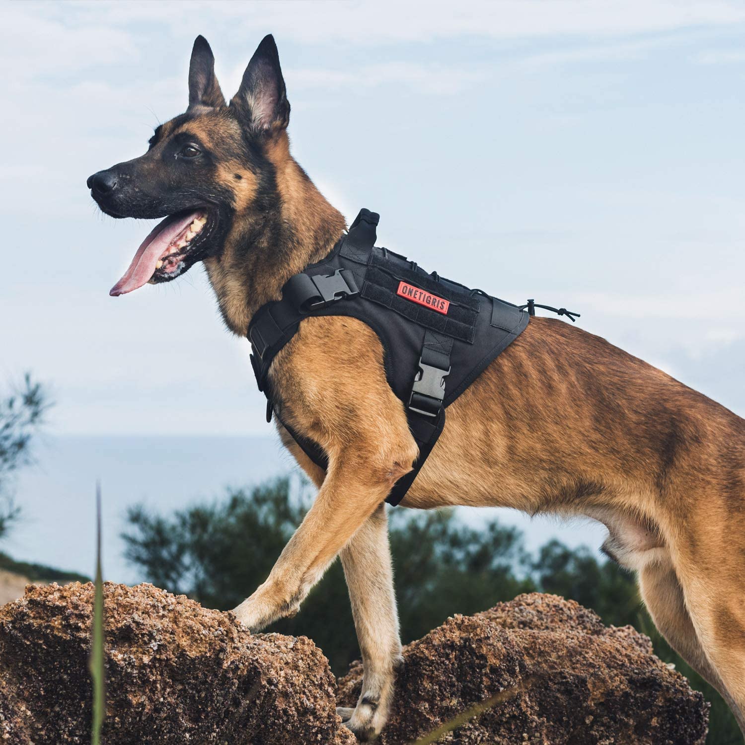 OneTigris Tactical Dog Harness Vest with Handle - Adjustable No-Pull Service Vest for Medium & Large Dogs - Hook & Loop Panels - Perfect for Walking, Training & Outdoor Adventures (Black, Small)