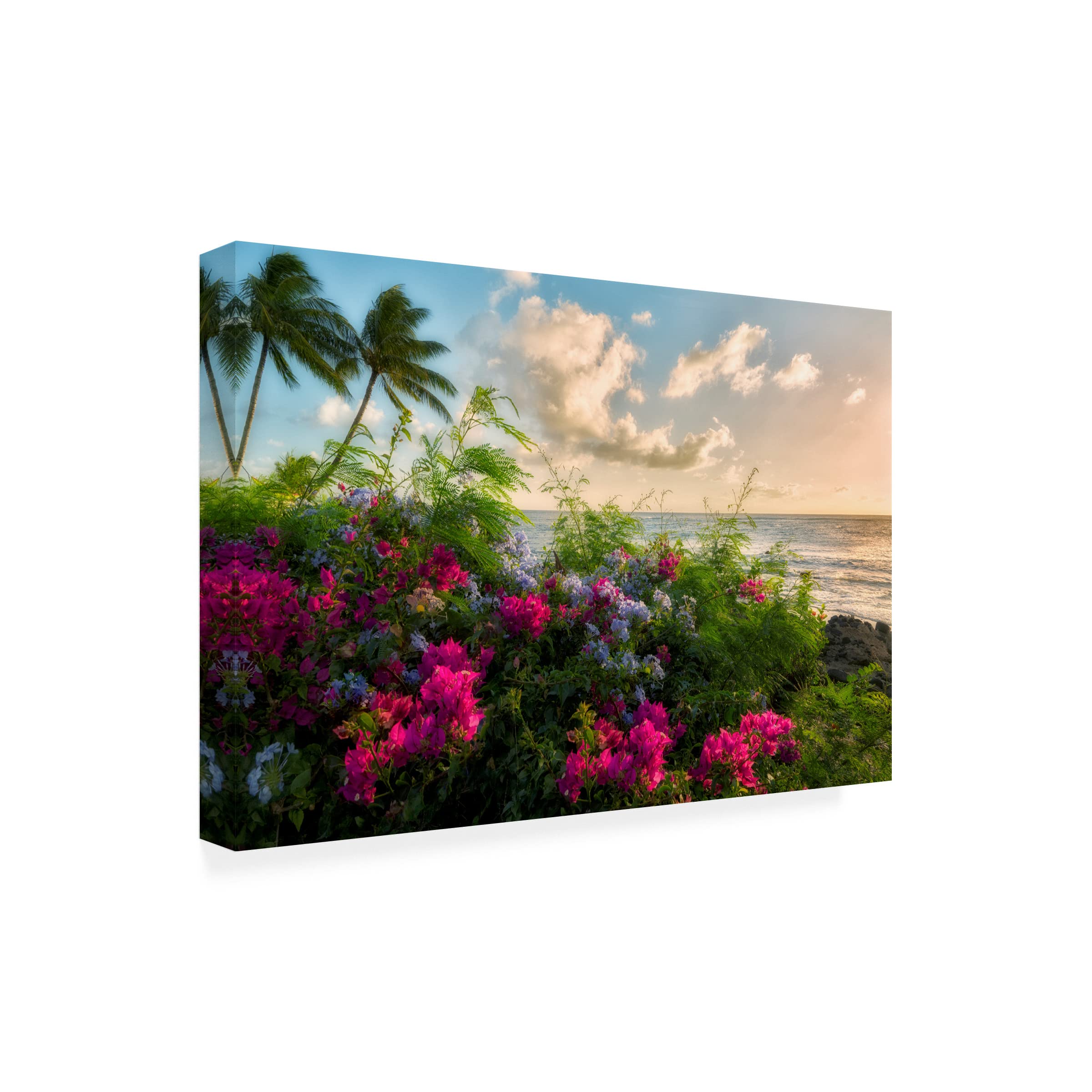 Trademark Fine Art 'Wild Flowers' Canvas Wall Art Print by Dennis Frates - Perfect for Living Room, Bedroom & Office Decor