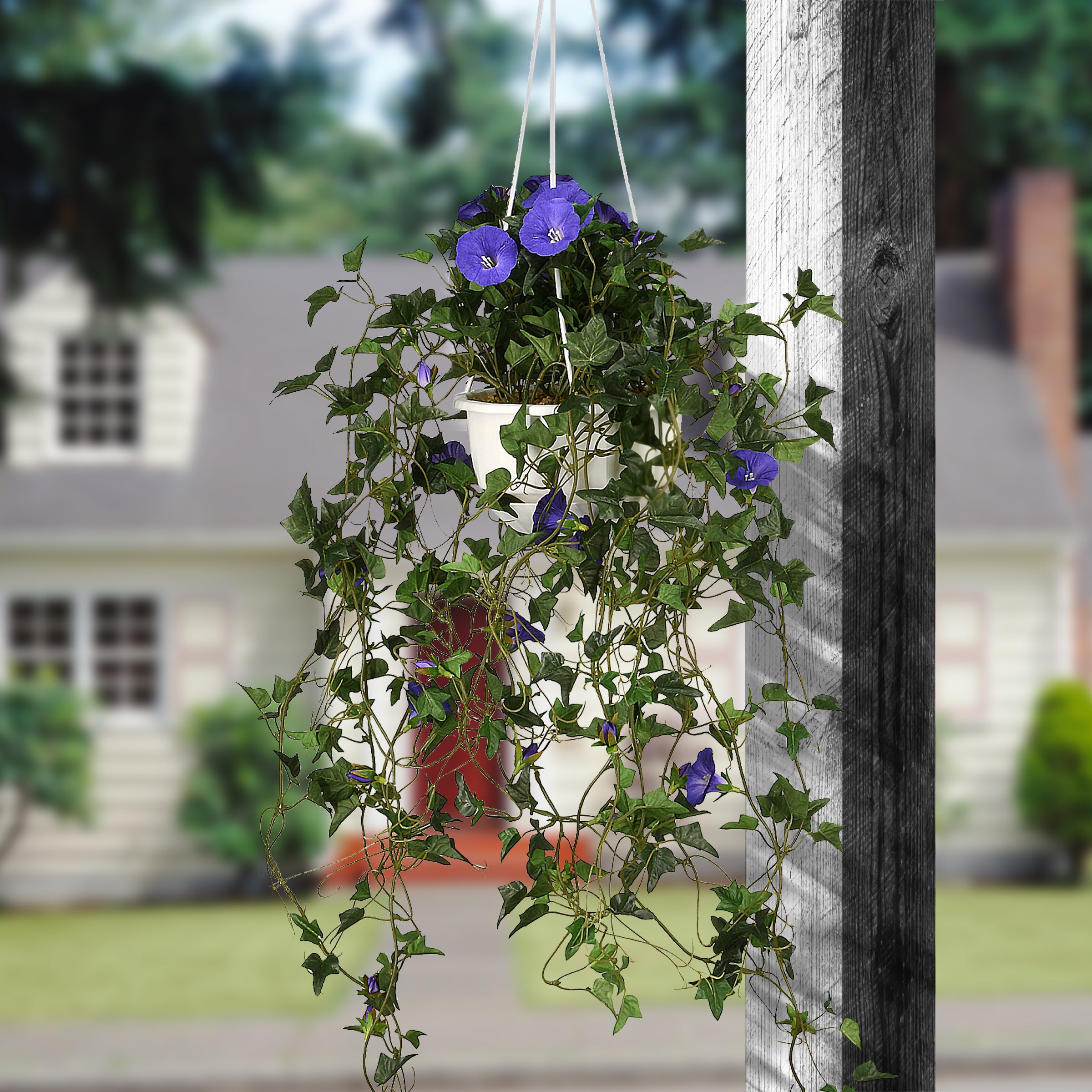 44 Inch Blue Morning Glory Hanging Basket with Long Green Vines - Plastic Pot Base - Perfect for Patio, Balcony & Garden Decor