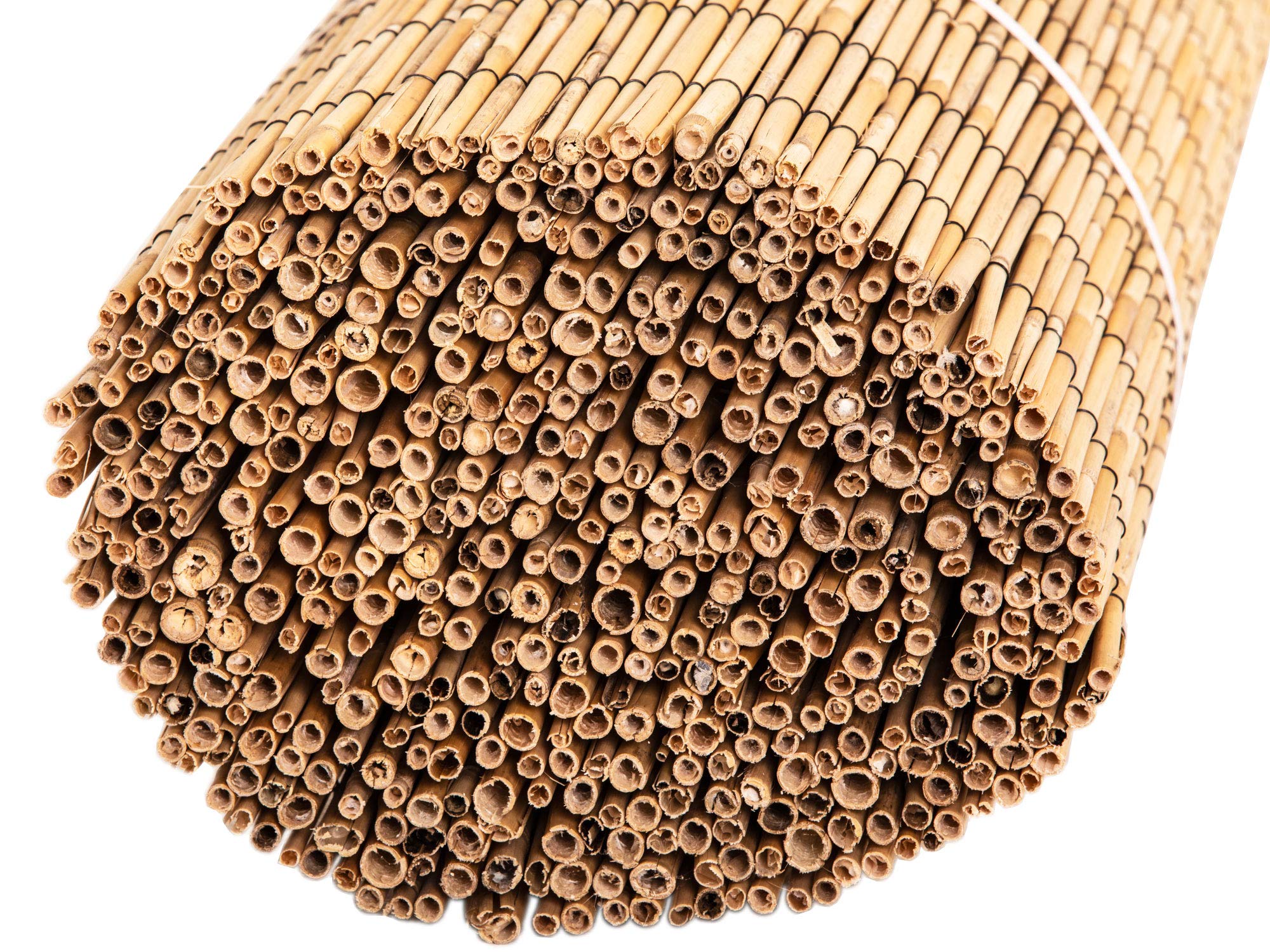 FOREVER BAMBOO Jumbo Reed Privacy Fence - 6ft Tall x 16ft Wide Natural Bamboo Screen for Backyard, Garden & Patio Divider - Tan Finish Outdoor Decorative Fencing for Poolside, Deck & Landscape Privacy
