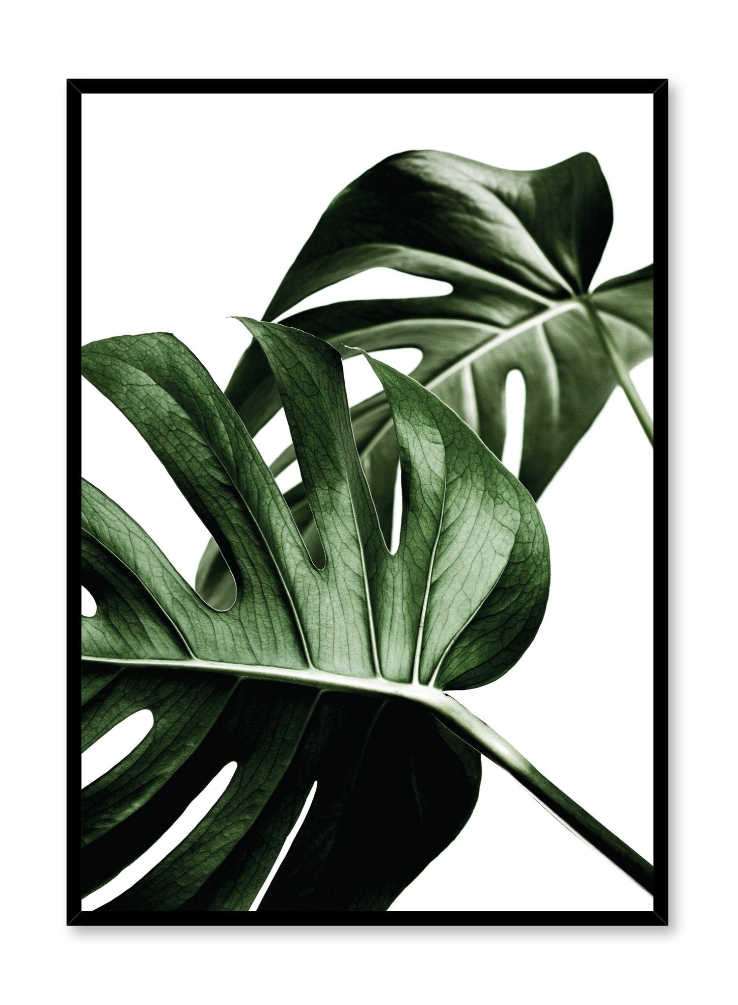 Overlap Poster - High-Quality Wall Art for Home & Office Decor - Perfect for Living Room, Bedroom, and Workspace