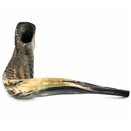 Kosher Ram's Horn Shofar - 20
