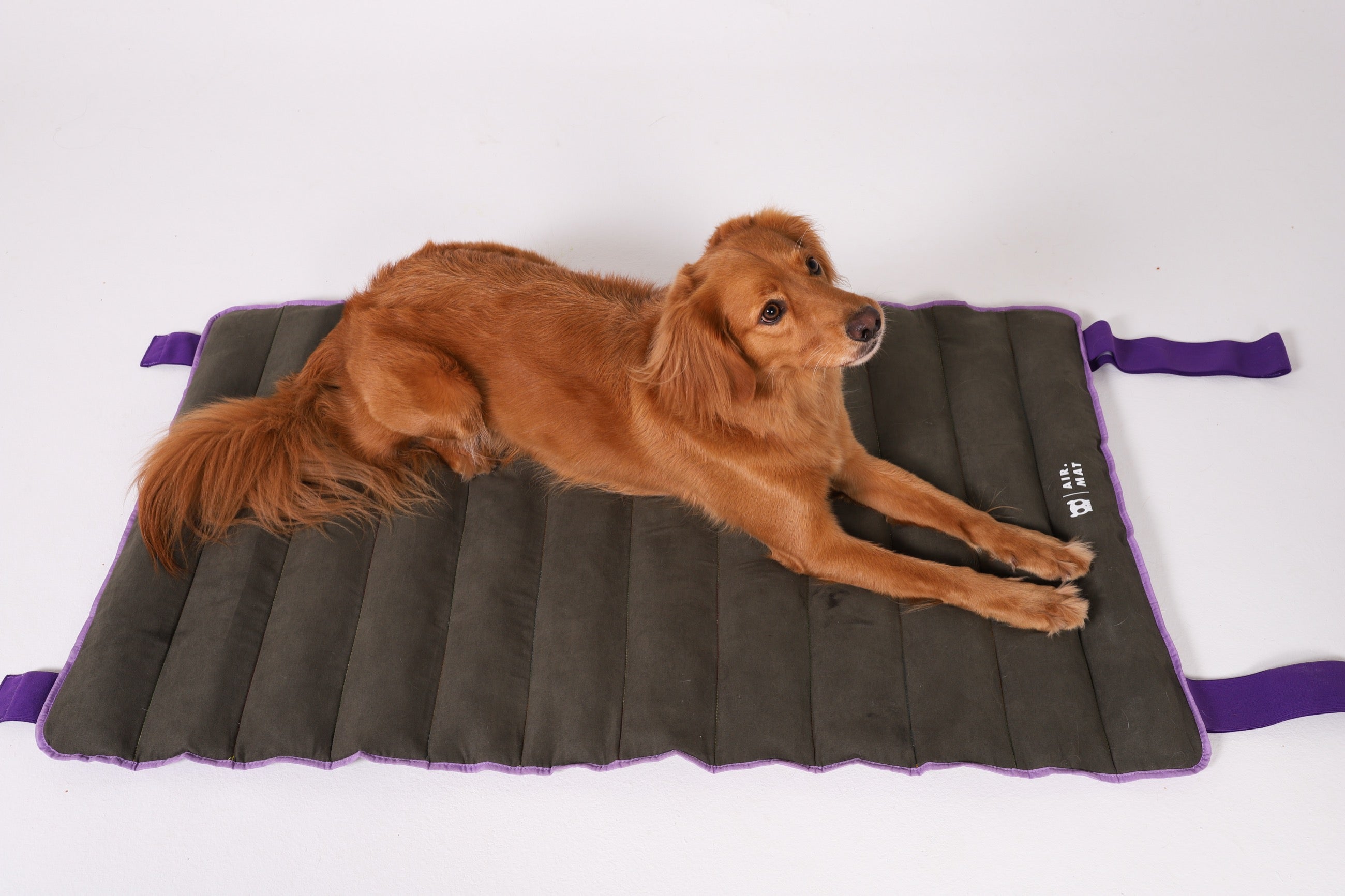 Portable Dog Air Mat Bed - Military Green | Zee.Dog - Perfect for Camping, Travel & Outdoor Adventures with Your Pet