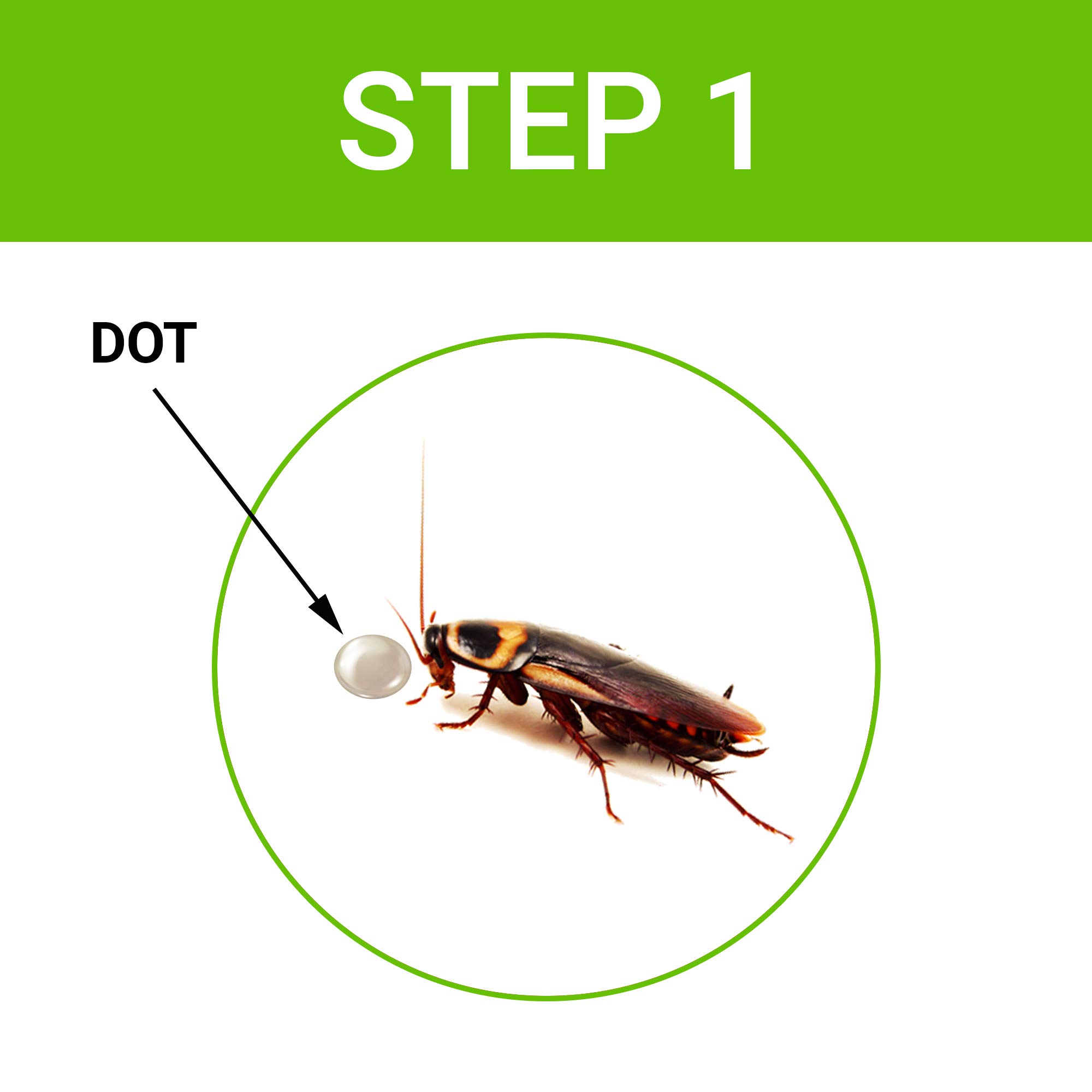 Anti Cockroach Gel Bait with Neem Extract (40g) - Powerful Roach Killer for Home & Kitchen - Easy-to-Use Injection Formula for Effective Pest Control | Ideal for Apartments, Restaurants & Food Storage Areas