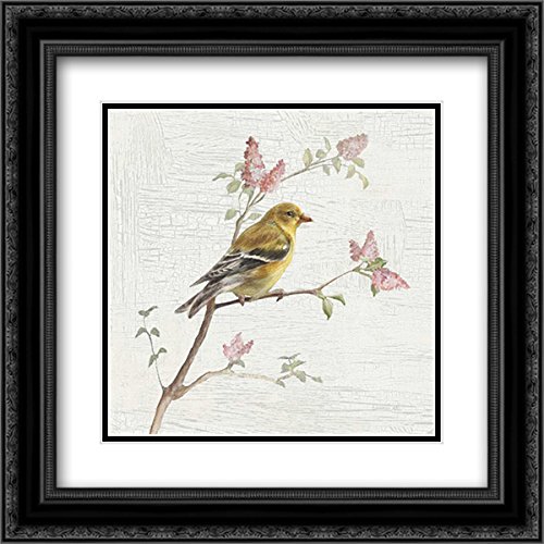 NAI, Danhui 15x15 Inch Black Ornate Framed Double Matted Museum Quality Art Print - Female Goldfinch Vintage Bird Painting - Perfect for Living Room, Bedroom & Office Wall Decor