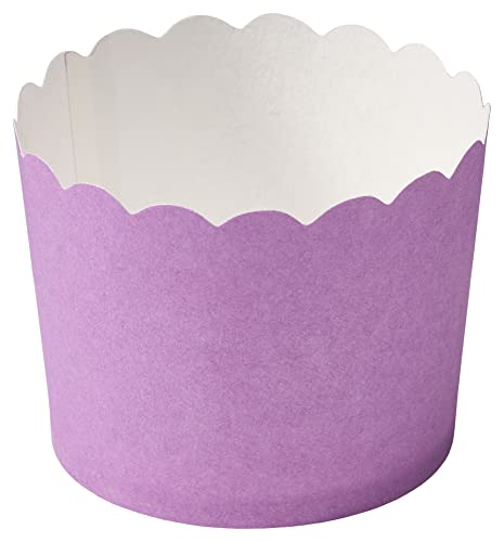 Lilac Scalloped