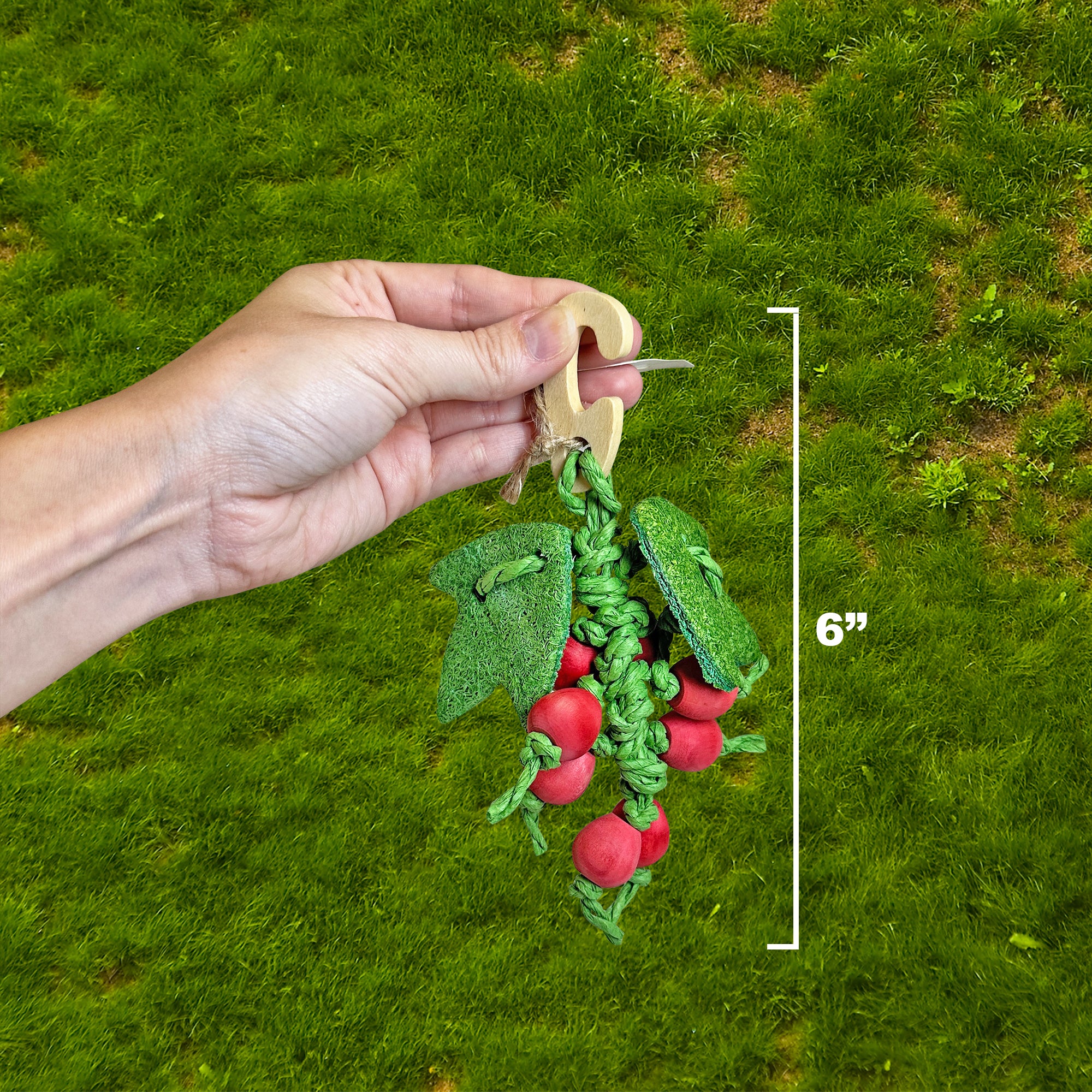 Berry Nibbler - Stainless Steel Fruit Picker Tool for Fresh Berries, Cherries & Small Fruits | Perfect for Gardening, Harvesting & Farm Use