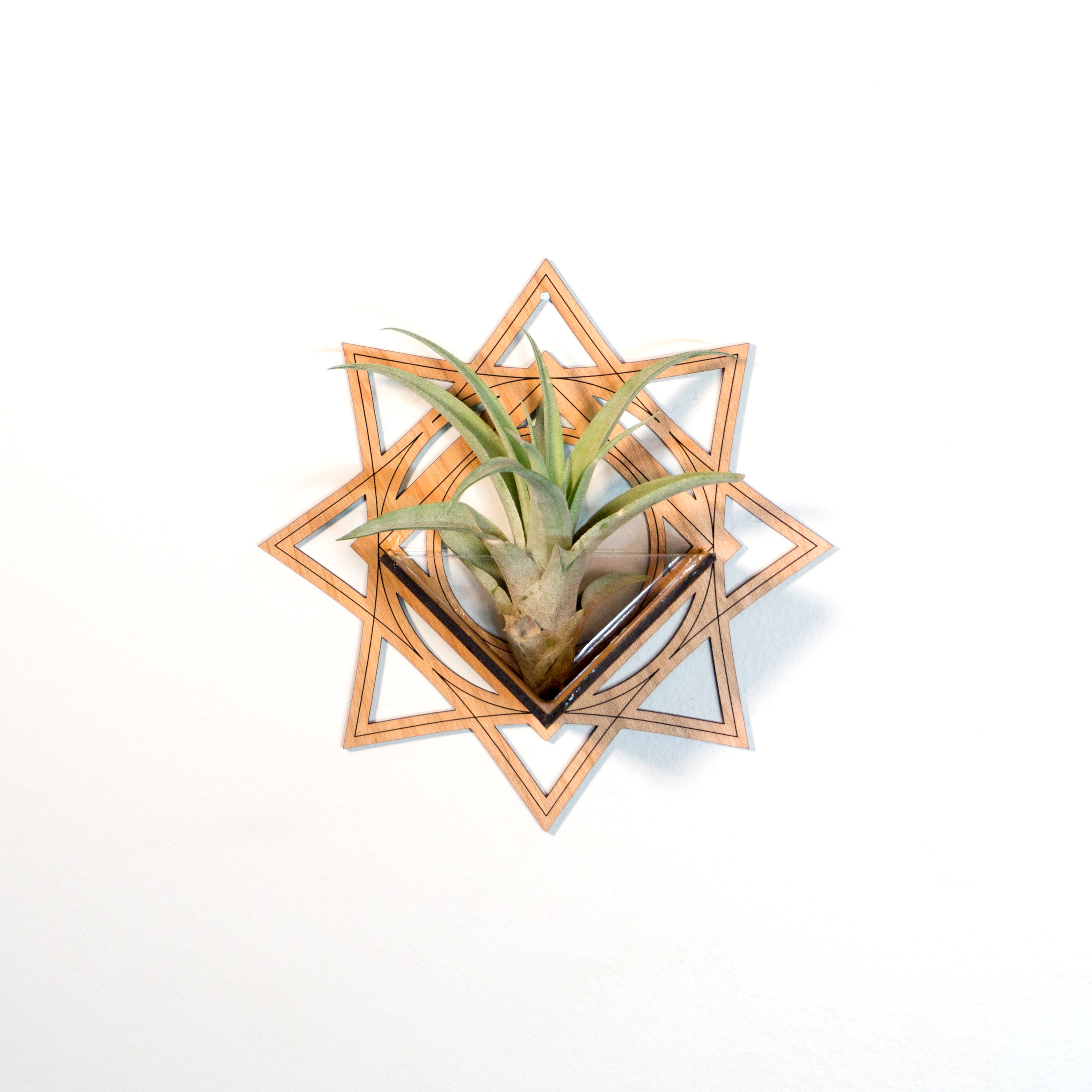 Handmade Wood Wall Hanging Planter - Air Plant Holder with Star Art Design for Home Decor | Perfect Plant Lover Gift Idea for Living Room, Bedroom, or Office Display