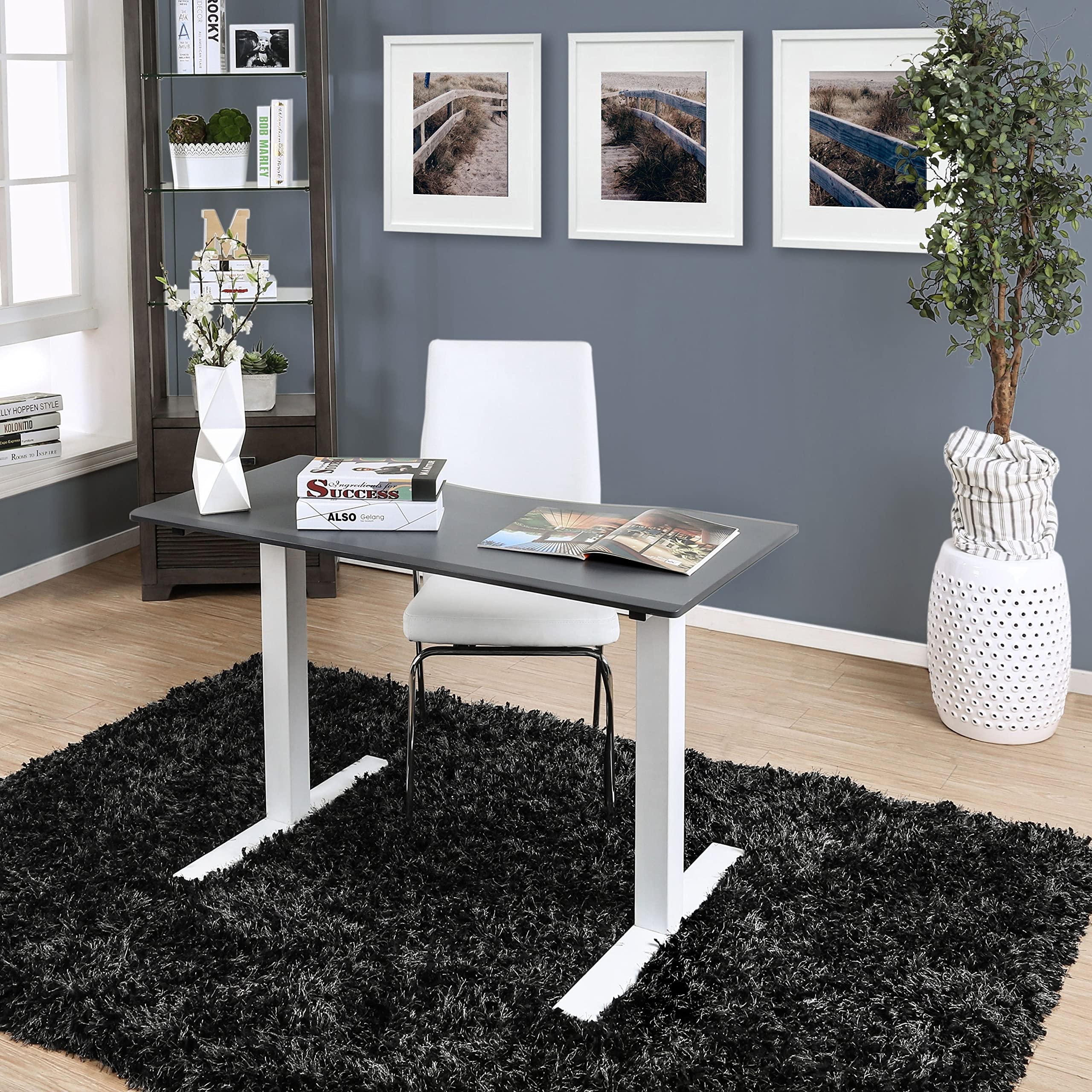 Furniture of America Flannel Contemporary Height Adjustable Desk with USB & Power Outlet - Grey Home Office Desk for Remote Work & Gaming Setup