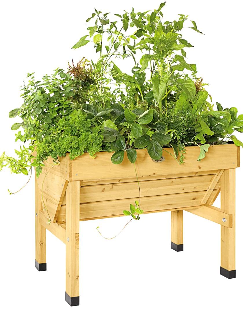 Compact VegTrug Raised Garden Bed - Elevated Patio Planter Box for Vegetables, Herbs & Flowers | Perfect for Small Spaces, Balconies & Urban Gardening