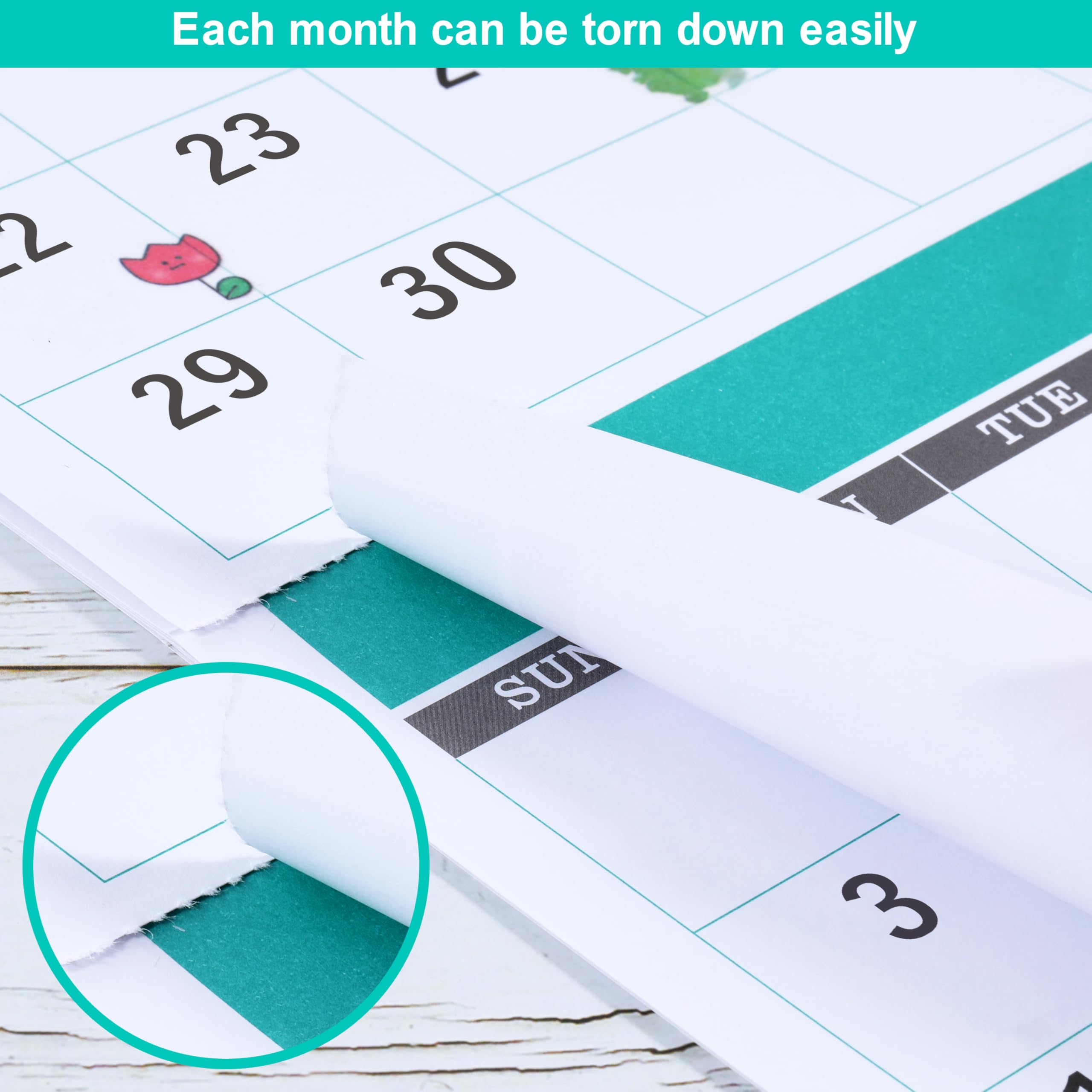 2025-2026 Wall Calendar | 16-Month Planner from May 2025 to June 2026 | 3-Month Vertical Display | 11.3