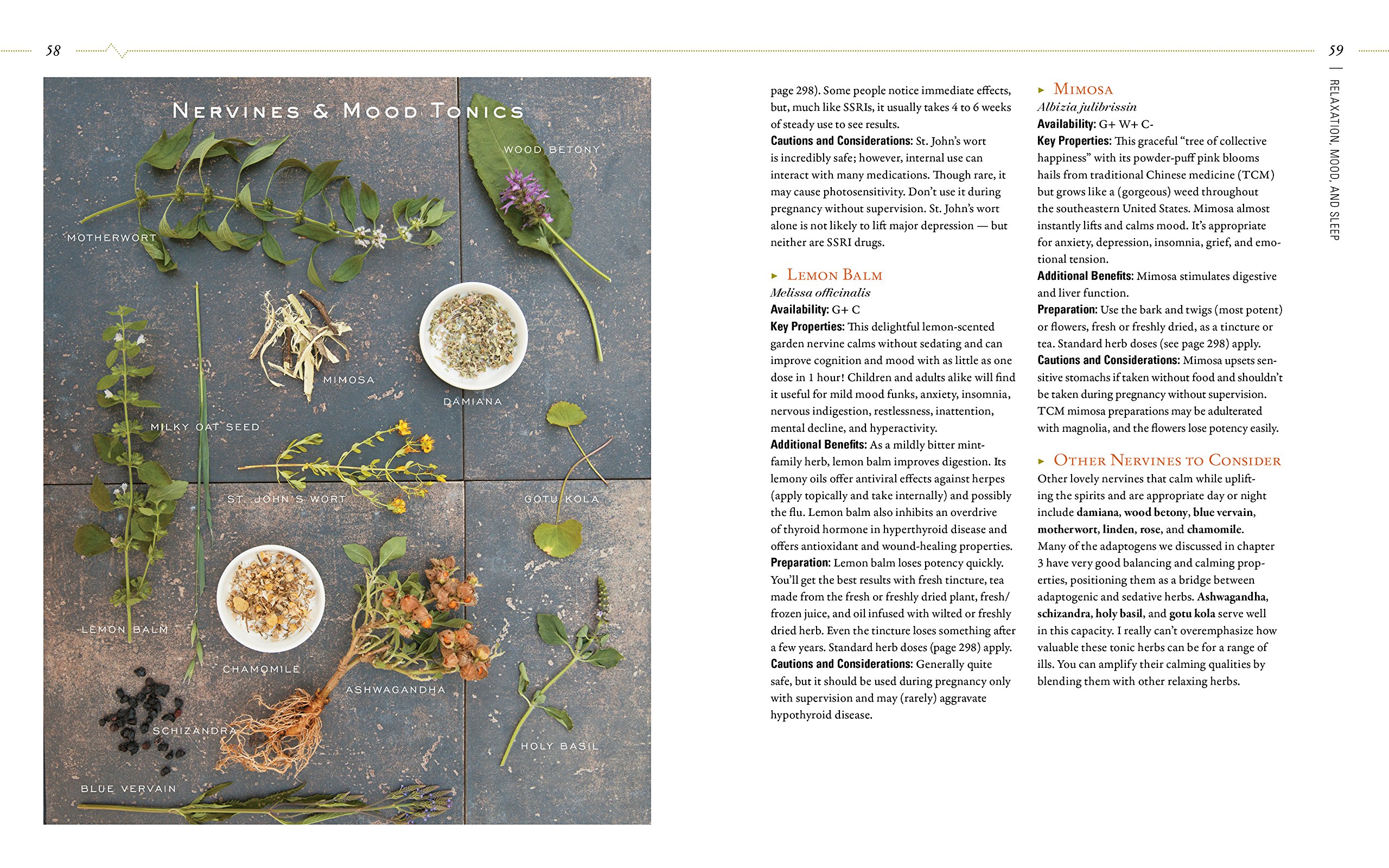 Body into Balance: Herbal Guide for Holistic Self-Care - Natural Remedies for Stress Relief, Better Sleep & Wellness at Home