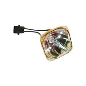 DUKANE SP-LAMP-009 Replacement Projector Lamp Bulb - High Precision Technical Replacement for DUKANE Projectors | Perfect for Home Theater, Office Presentations, and Classroom Projection Systems