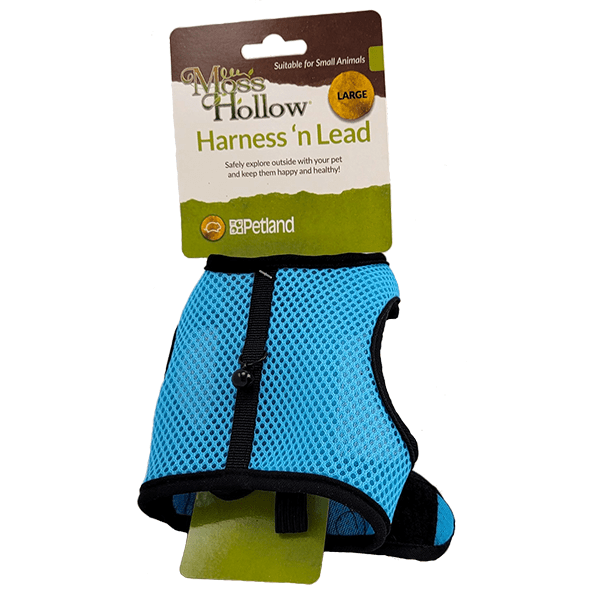 Premium Moss Hollow Dog Harness and Leash Set – Adjustable, Durable & Comfortable for Small to Medium Dogs – Perfect for Walking, Training & Outdoor Adventures