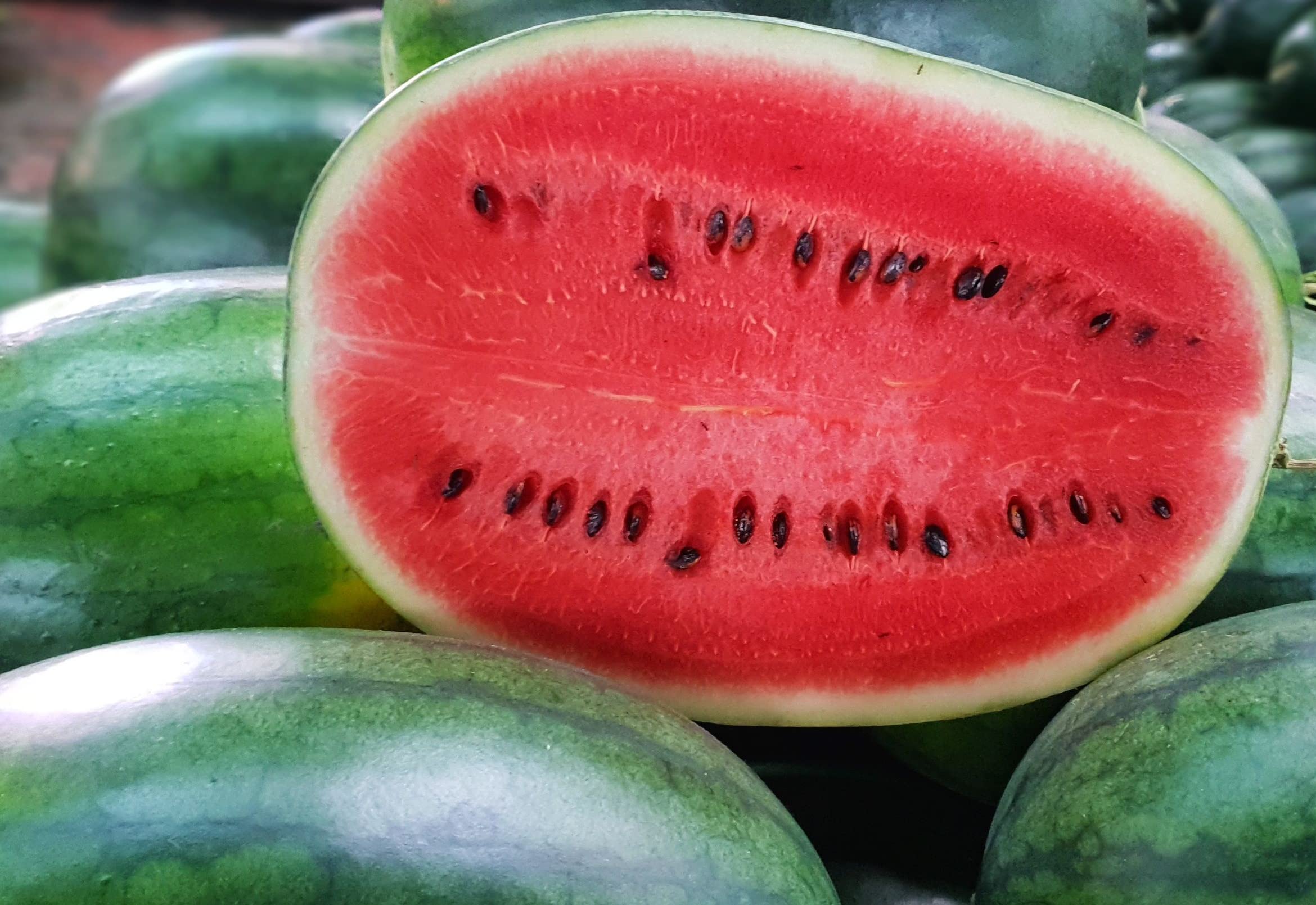 Cal Sweet Supreme Watermelon Seeds for Planting - 125+ Heirloom, Non-GMO Seeds (Citrullus lanatus) by Isla's Garden Seeds | Perfect for Home Gardens, Backyard Farming & Organic Gardening
