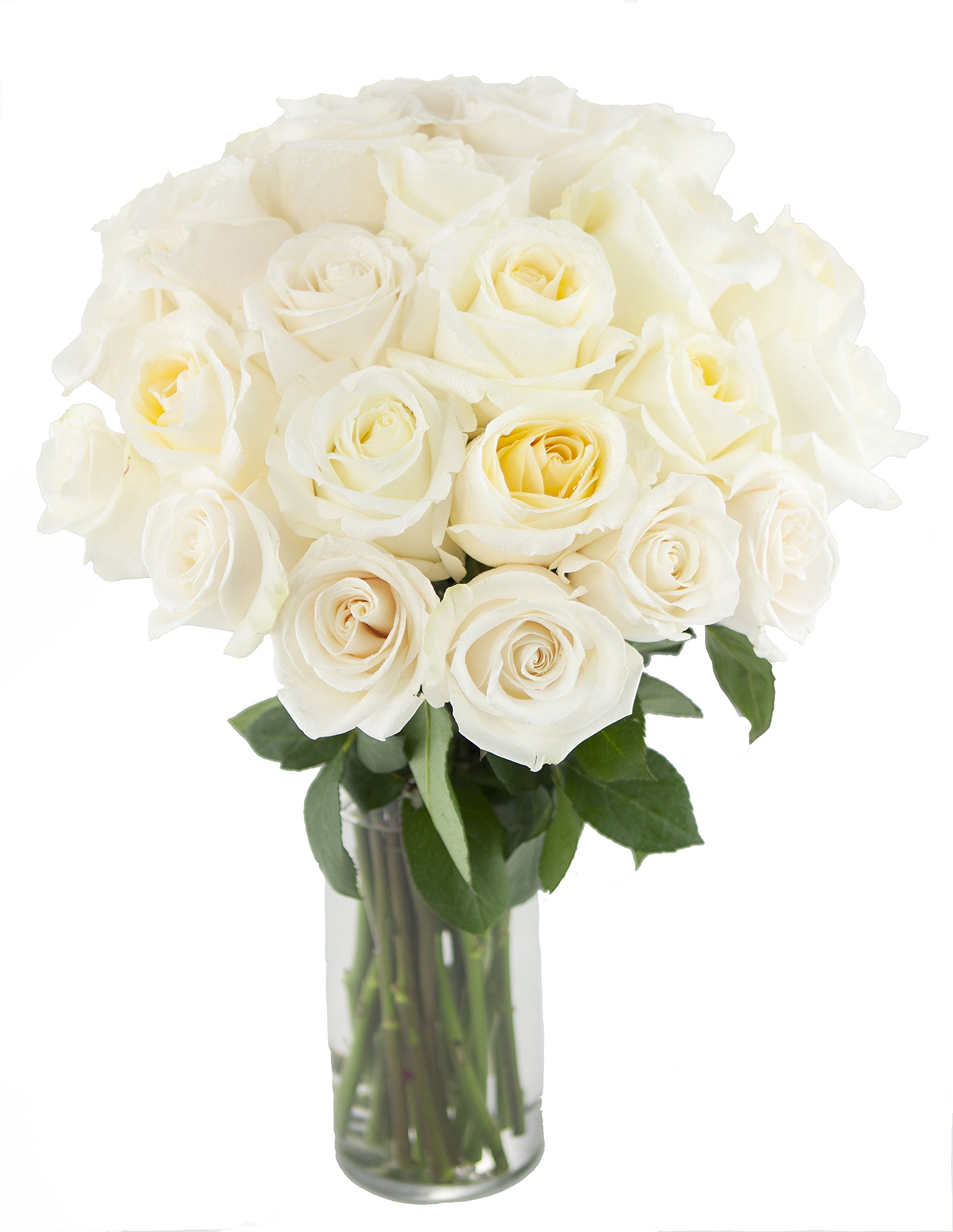 Premium Long Stem White Roses Bouquet - 24 Fresh Cut Flowers with Elegant Vase | Perfect for Weddings, Anniversaries & Romantic Gifts | The KaBloom Collection