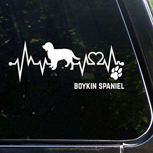 Boykin Spaniel