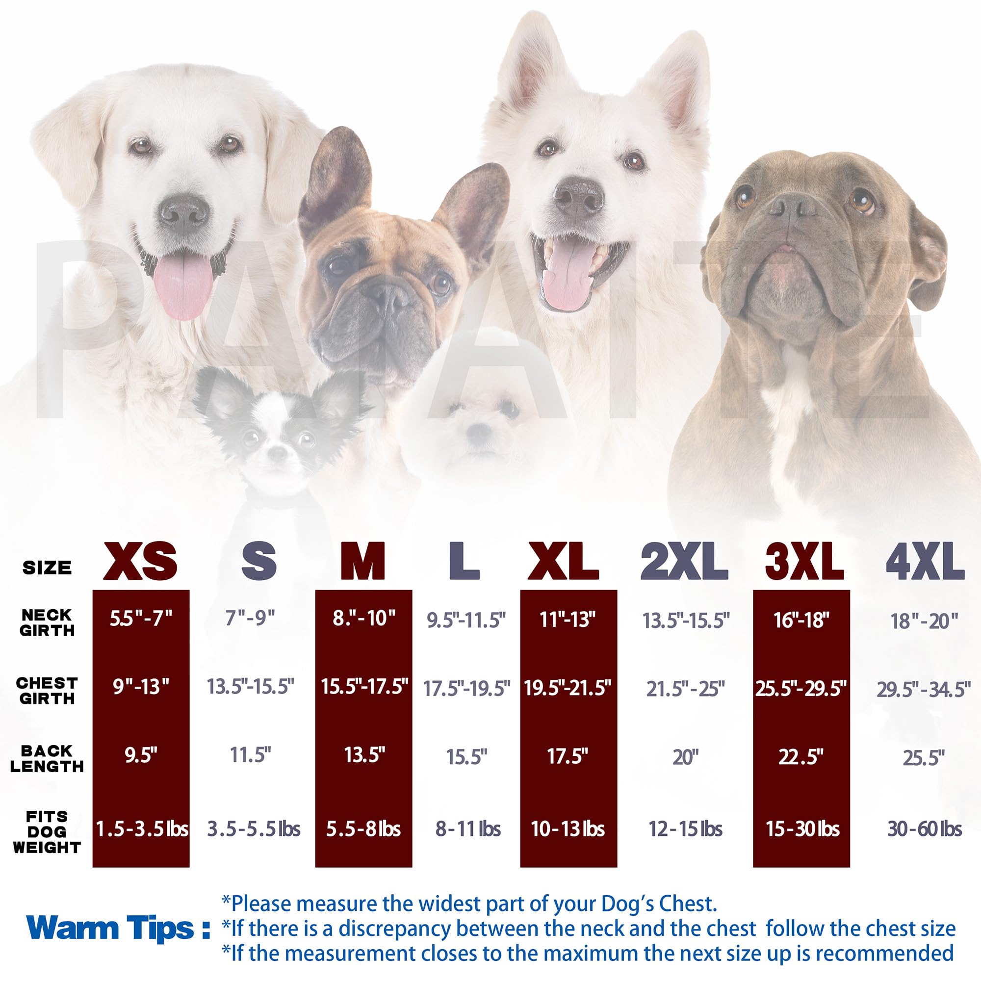 Cute but Psycho Dog Shirt - Soft Cotton Puppy Vest for Small & Medium Dogs | Playful Rose Red XS Pet Apparel | Perfect for Walks, Photos & Gifts