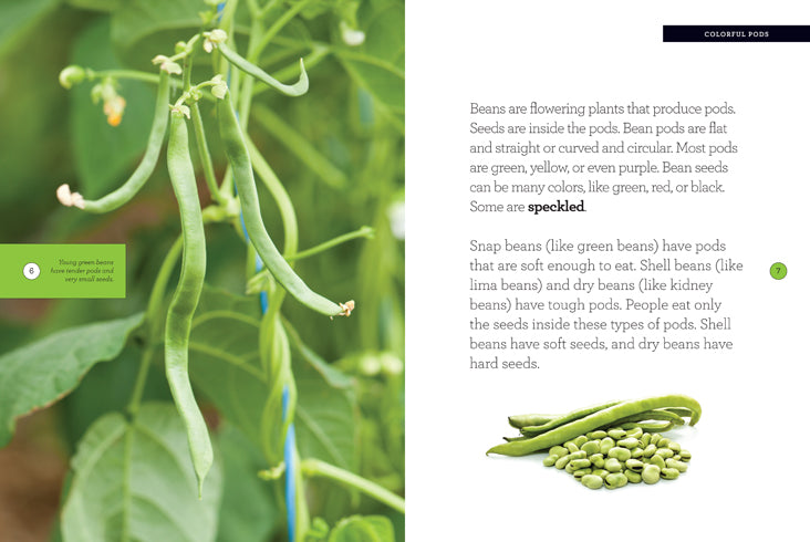 9781608185603 - Premium Dried Beans for Cooking | Bulk Beans for Soups, Stews & Healthy Recipes