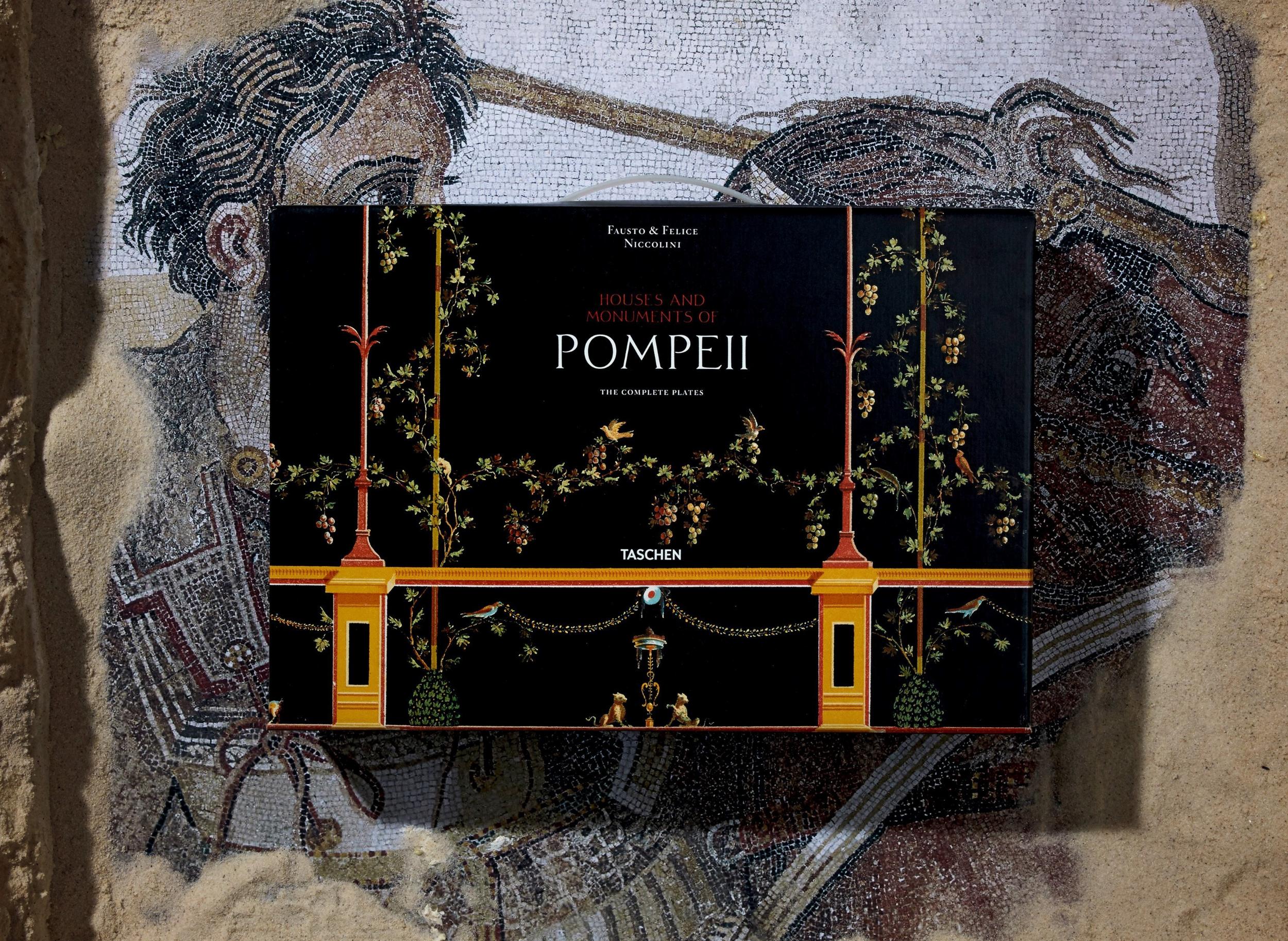 Fausto & Felice Niccolini - Houses and Monuments of Pompeii: Ancient Roman Architecture Book | Perfect for History Lovers, Archaeology Enthusiasts & Home Decor Inspiration