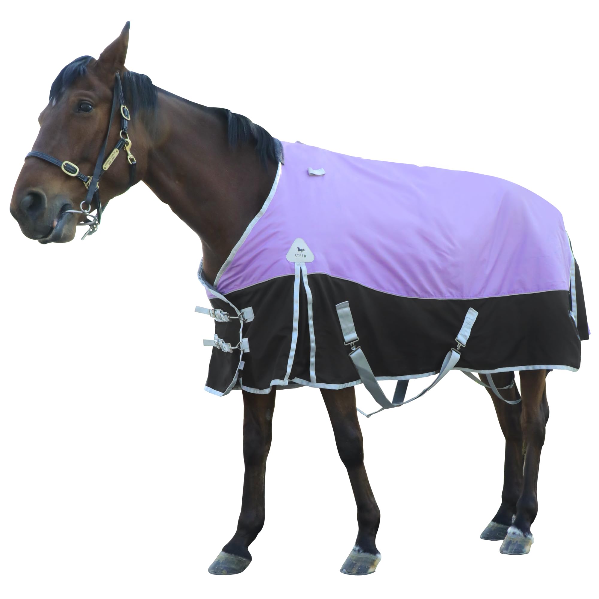 1600D Waterproof Winter Horse Blanket with 400g Warm Cotton Filling - Medium Weight Turnout Blanket (81 inches) for Cold Weather Riding and Stable Use