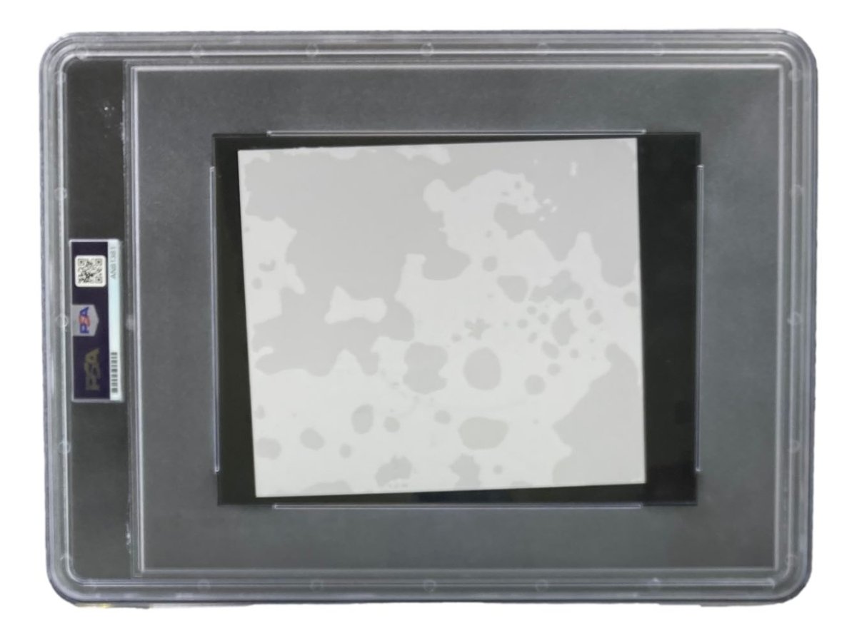 John Cena Autographed WWE Wrestling Memorabilia - PSA Certified Slabbed Large Cut Signature (AN81381) - Perfect for Collectors, Fans & Sports Memorabilia Displays