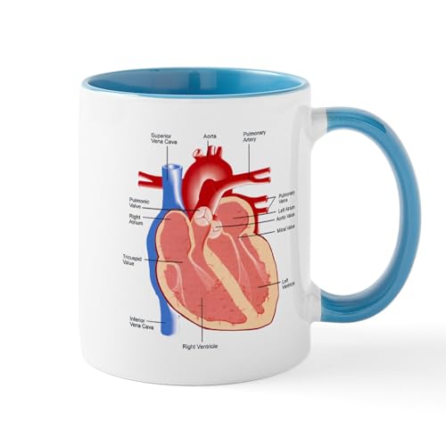 White/Blue Inside - Human Heart Anatomy Mug