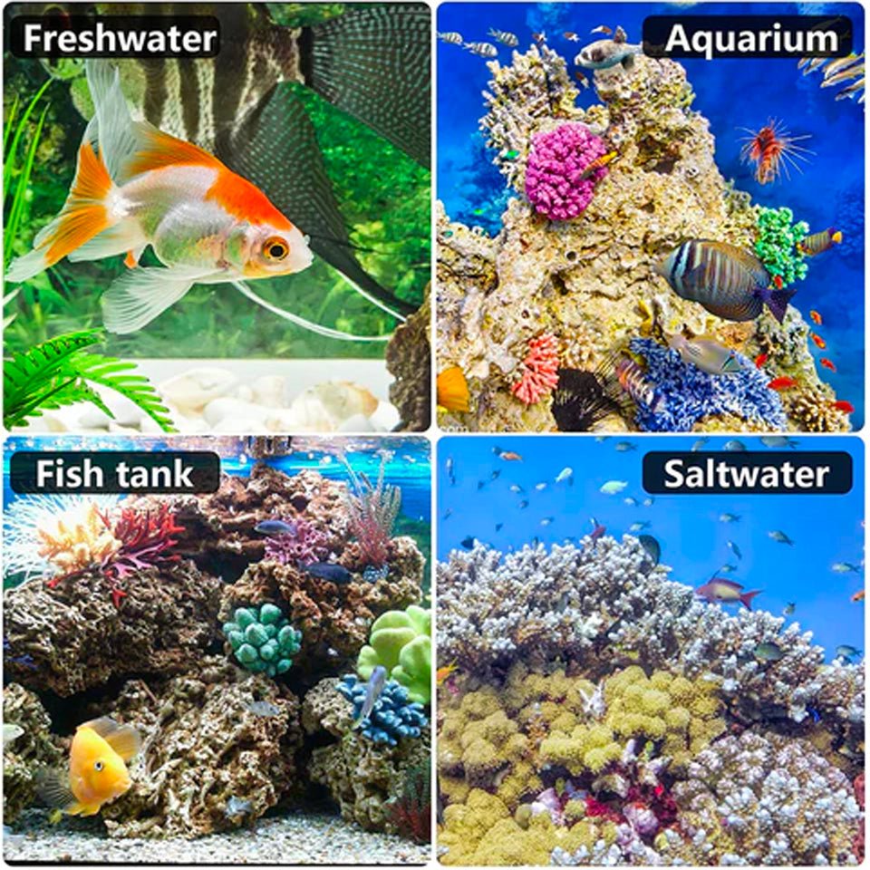 Ammonia Aquarium Test Strips - Fast & Accurate Water Testing Kit for Fish Tanks, Ponds & Aquariums - Monitor NH3 Levels for Healthy Fish & Aquatic Life (50 Strips) - Perfect for Freshwater & Saltwater Tanks