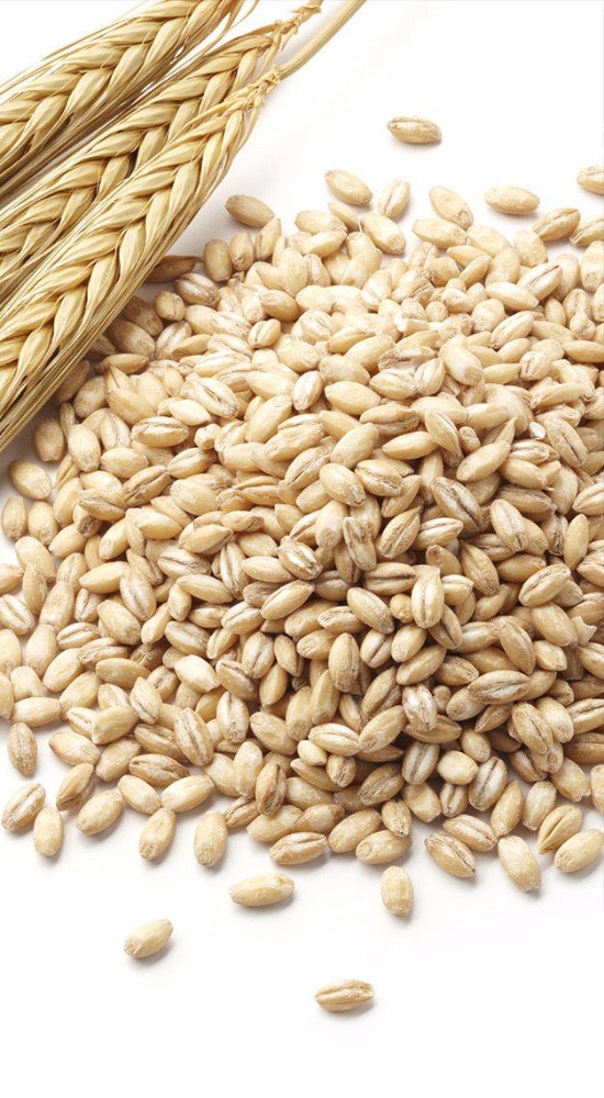 Organic Malted Barley Flour - 44lb Bulk Bag for Baking, Brewing & Cooking - Perfect for Bread, Beer & Homemade Recipes