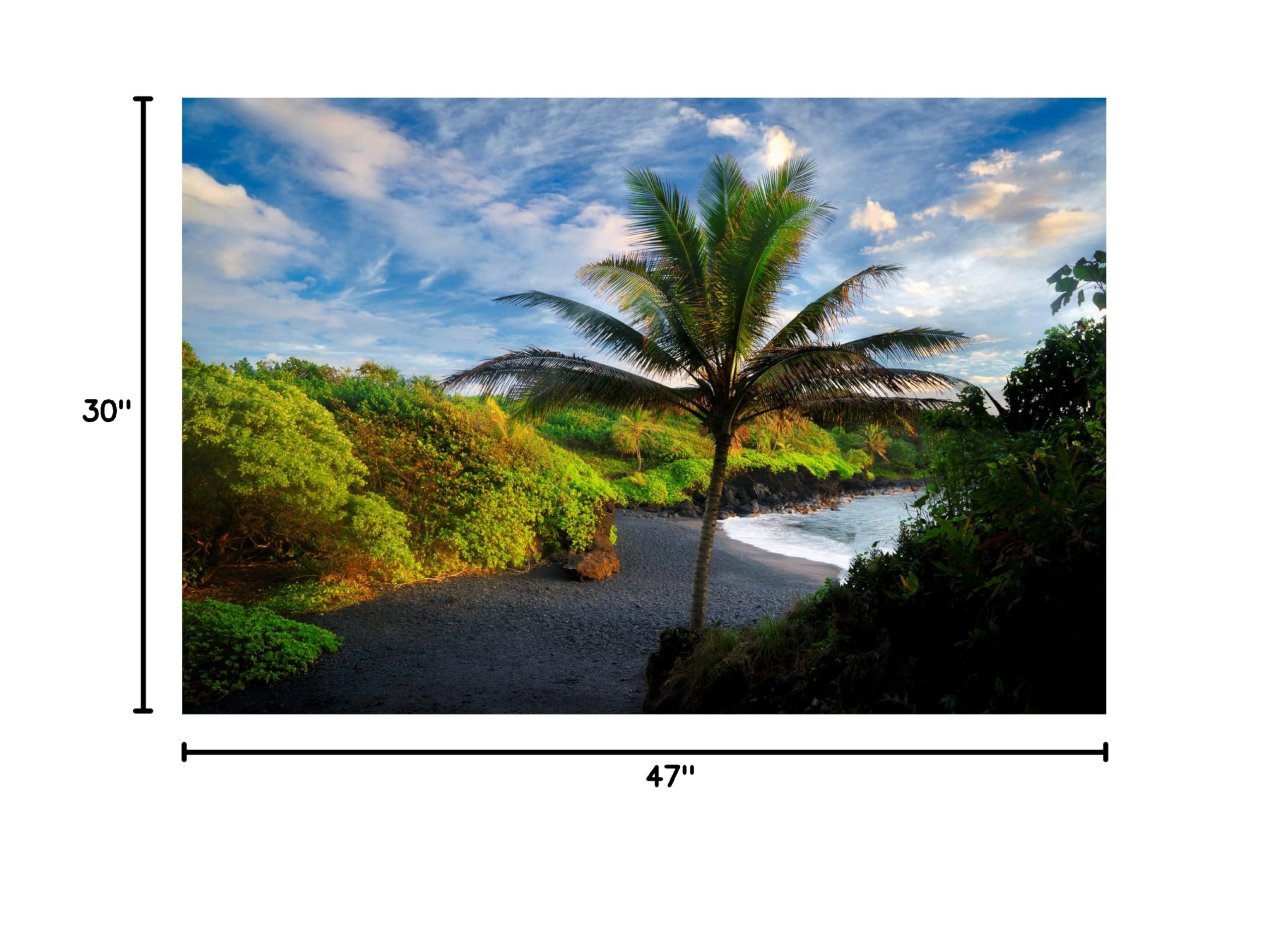 Dennis Frates 'Black Sand Beach 1' Canvas Wall Art Print - Modern Coastal Home Decor for Living Room, Bedroom & Office