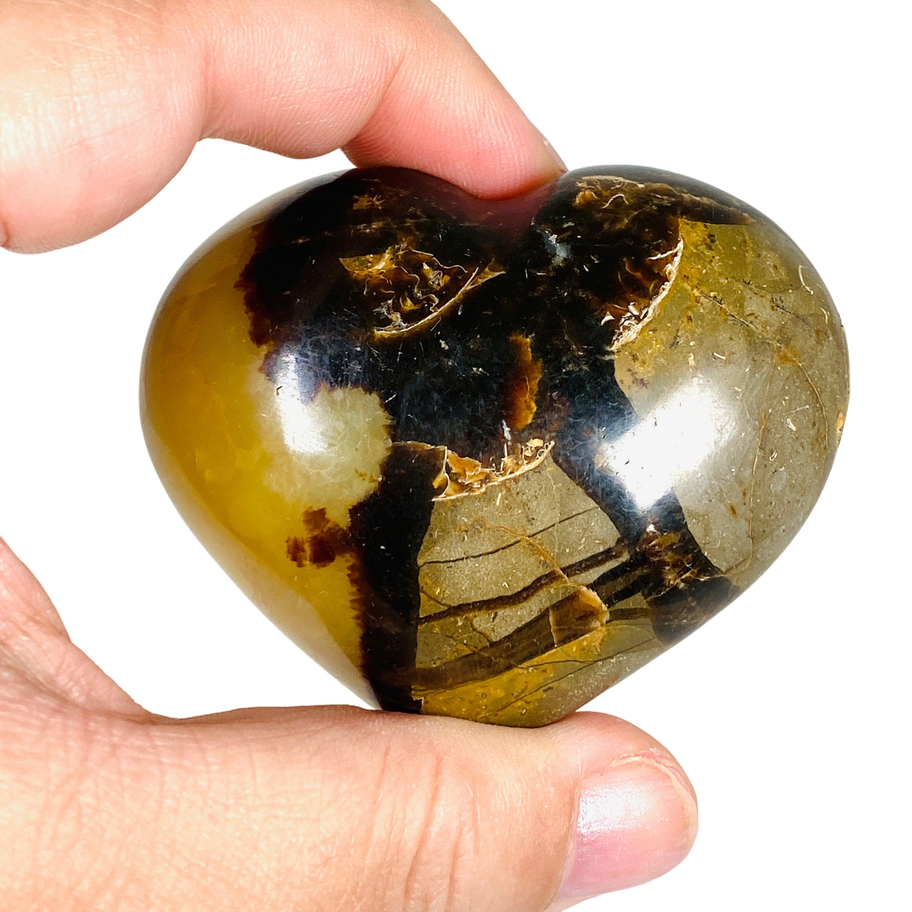 Septarian Jasper Heart SEJH 01 - Natural Stone Crystal for Healing, Meditation & Jewelry Making - Perfect for Home Decor, Spiritual Gifts & Energy Work