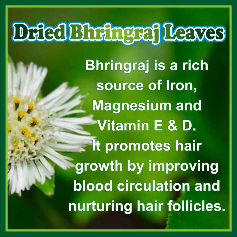 Organic Bhringraj Dry Leaves (50g) - Pure Bhringraj Leaf for Hair Regrowth & Scalp Treatment - Natural Remedy for Dry, Frizzy, Curly, Straight & Wavy Hair - Perfect for DIY Hair Masks & Ayurvedic Hair Care Routines
