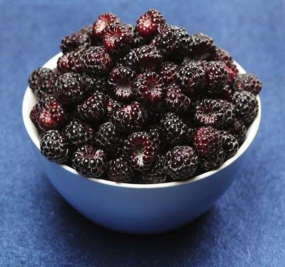 Northwest Wild Foods Fresh Frozen Black Raspberries - 9 lbs | Antioxidant-Rich Superfruit for Smoothies, Pies, Jams & Syrups | Perfect for Healthy Snacks, Baking & Dessert Recipes