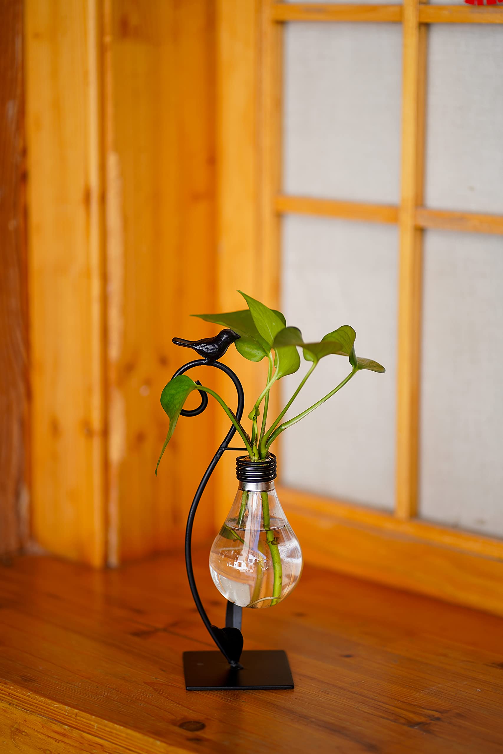 Modern Plant Terrarium & Hydroponic Vase - Desktop Planter Propagation Station for Home & Office Decor | Creative Bird-Shaped Plant Holder Stand | Perfect Gardening Gift for Plant Lovers (Ideal for Indoor Plants, Succulents, Air Plants & Home Decor)