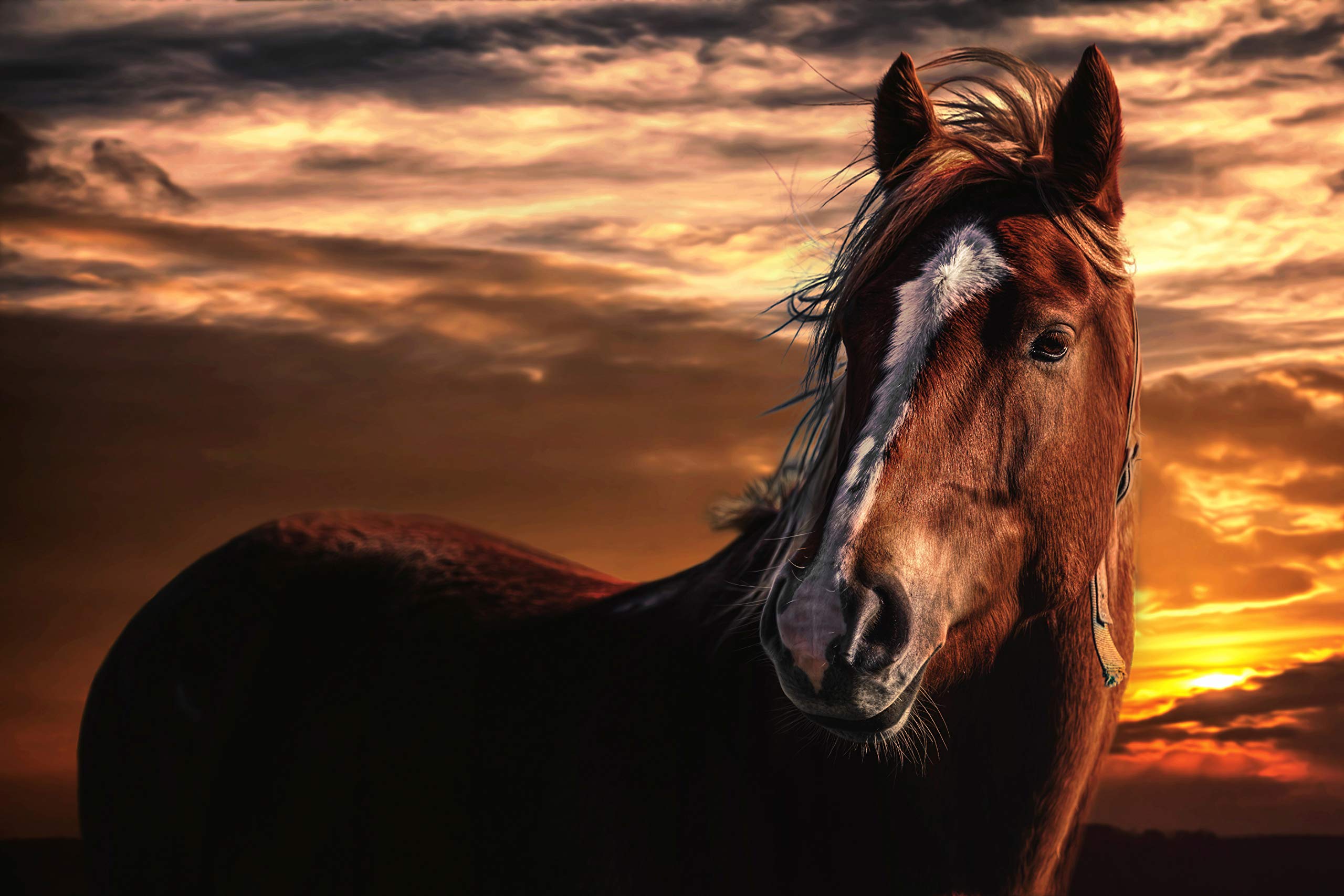 1500-Piece Wooden Jigsaw Puzzle for Adults - Sunset Horse Landscape Art (87x57cm) | DIY Home Decor, Wall Art & Gift for Adults, Seniors & Puzzle Lovers | Perfect for Family Game Nights, Stress Relief & Home Decoration