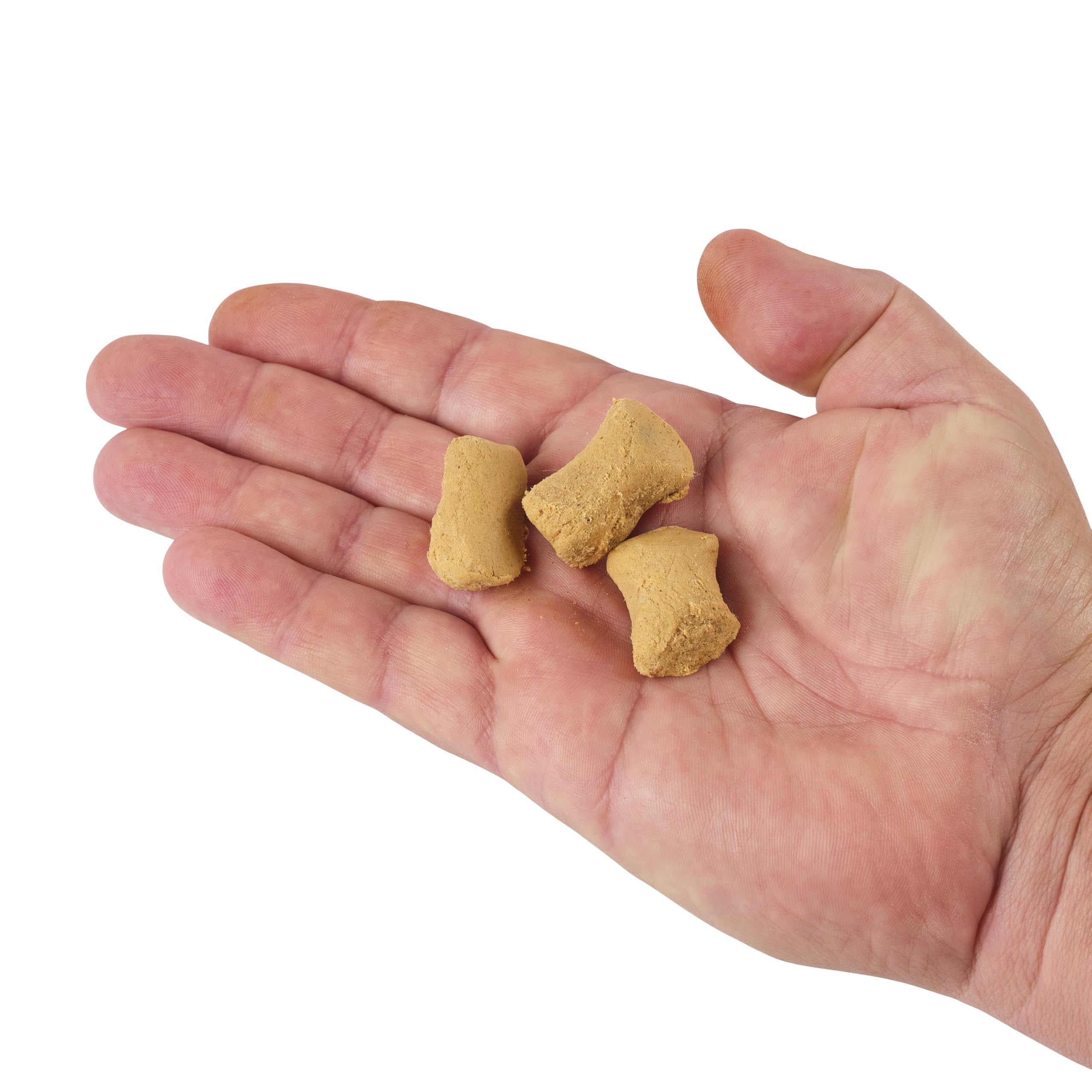 Berkley PowerBait Catfish Bait Chunks - Scented Fishing Dough Bait for Freshwater & Saltwater Fishing | Ideal for Bank Fishing, Boat Fishing & Night Fishing