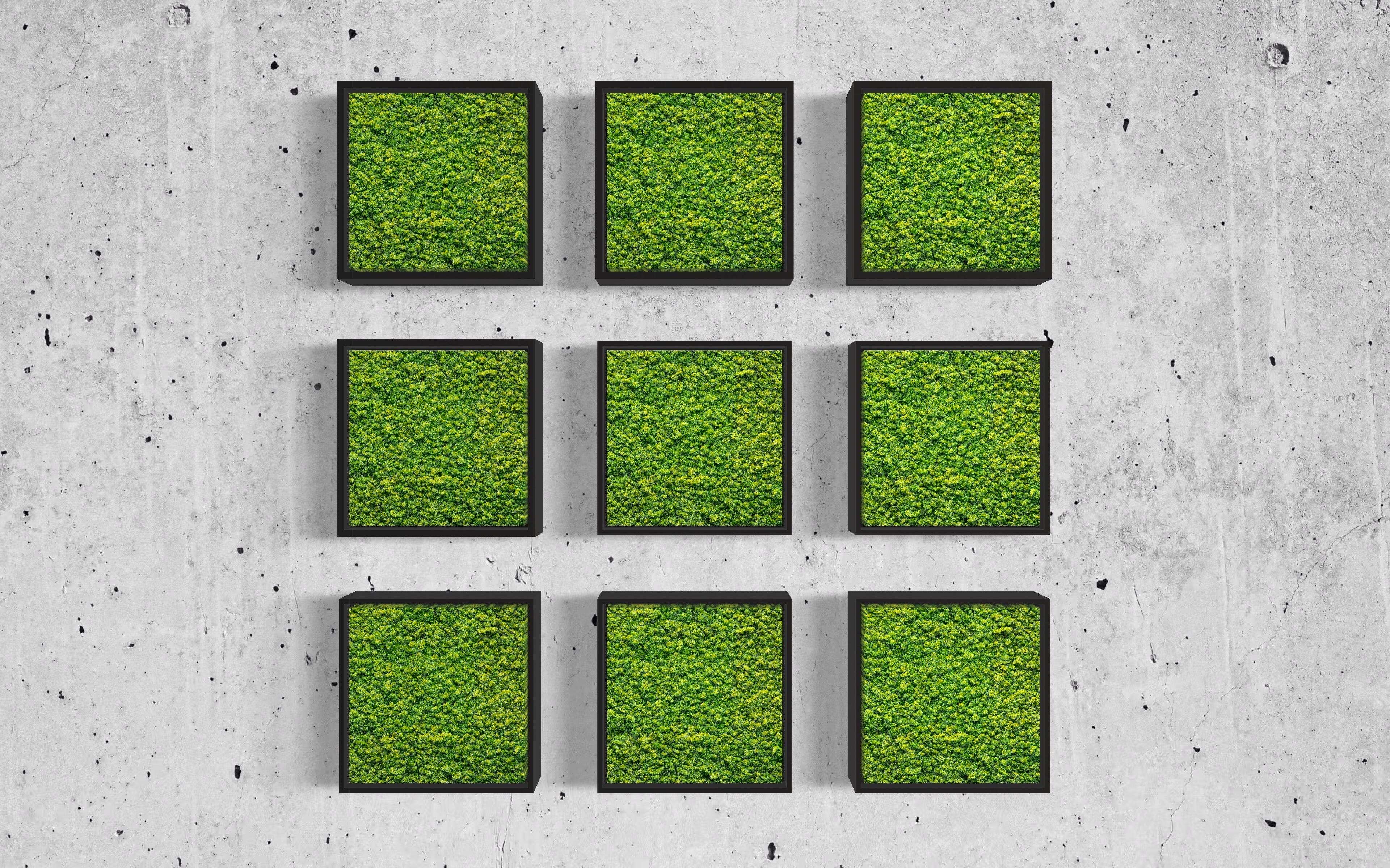 DIY Mosaic Moss Art Kits - Creative Wall Decor for Home, Office & Gifts - Eco-Friendly Botanical Art Projects for Relaxation & Stress Relief