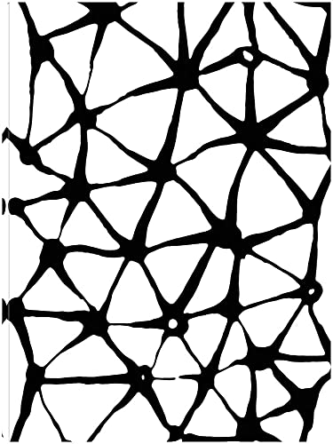 Experimental 2
