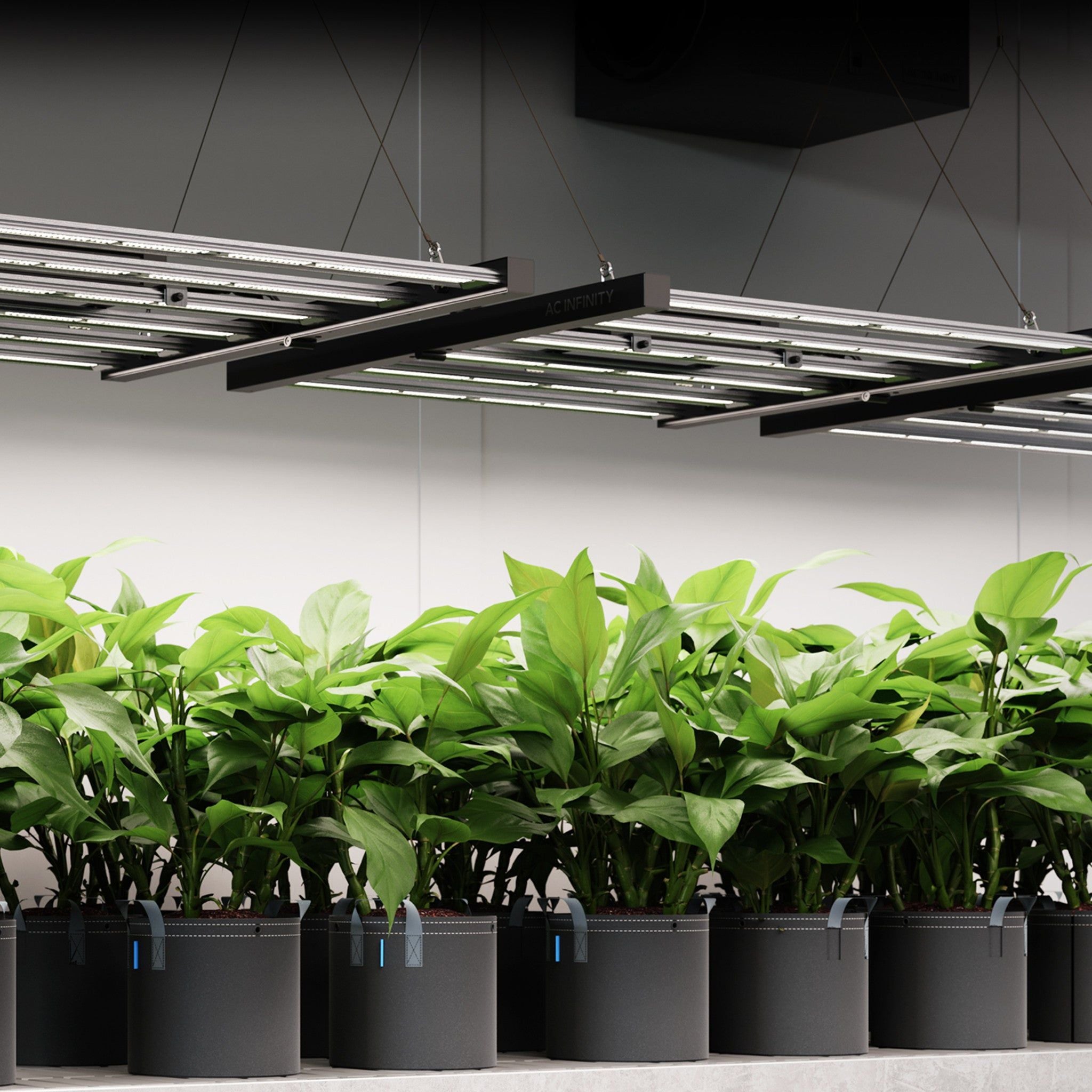 AC Infinity Ionframe EVO10 1000W Full Spectrum LED Grow Light for Indoor Plants - Commercial Grade Hydroponic Lighting for Cannabis, Vegetables & Herbs