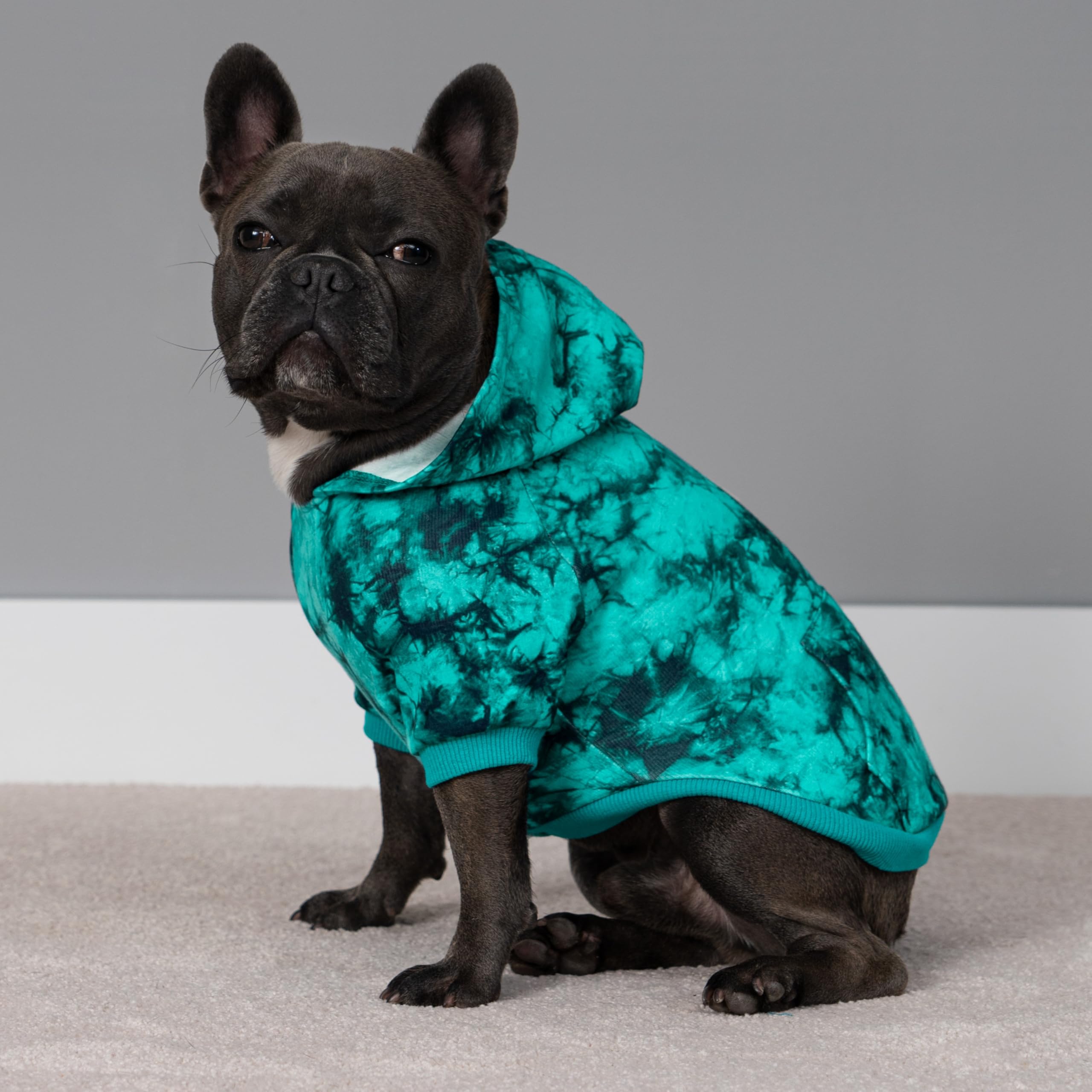 Fitwarm Tie Dye Fleece Dog Hoodie - Lightweight Winter Sweatshirt with Hood for Small Dogs (Sky Blue, Small) | Cozy Pet Apparel for Outdoor Walks & Indoor Lounging