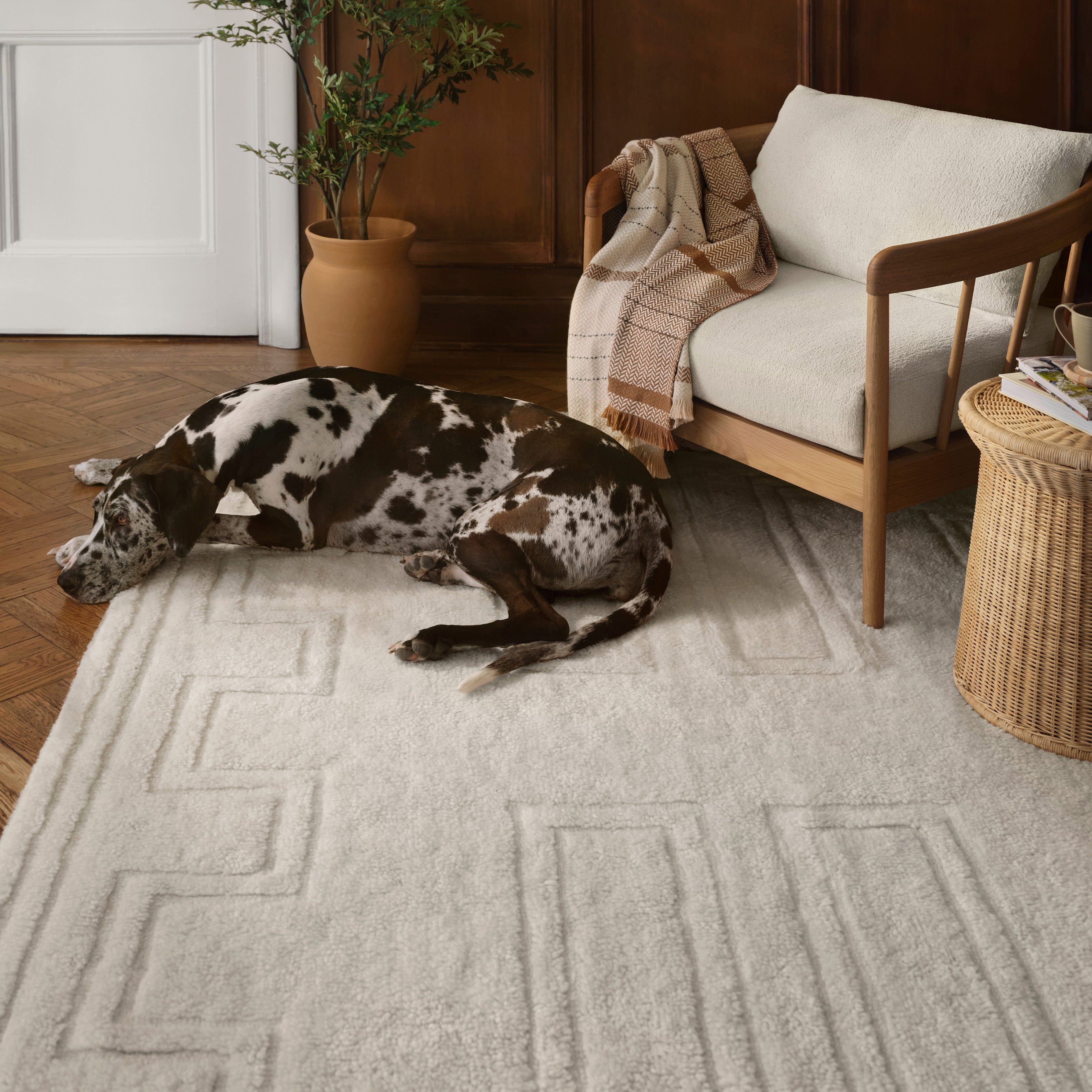 Padma Washable Rug - Soft, Durable & Machine Washable Area Rug for Living Room, Bedroom & Nursery - Perfect for High Traffic Areas & Pet-Friendly Homes