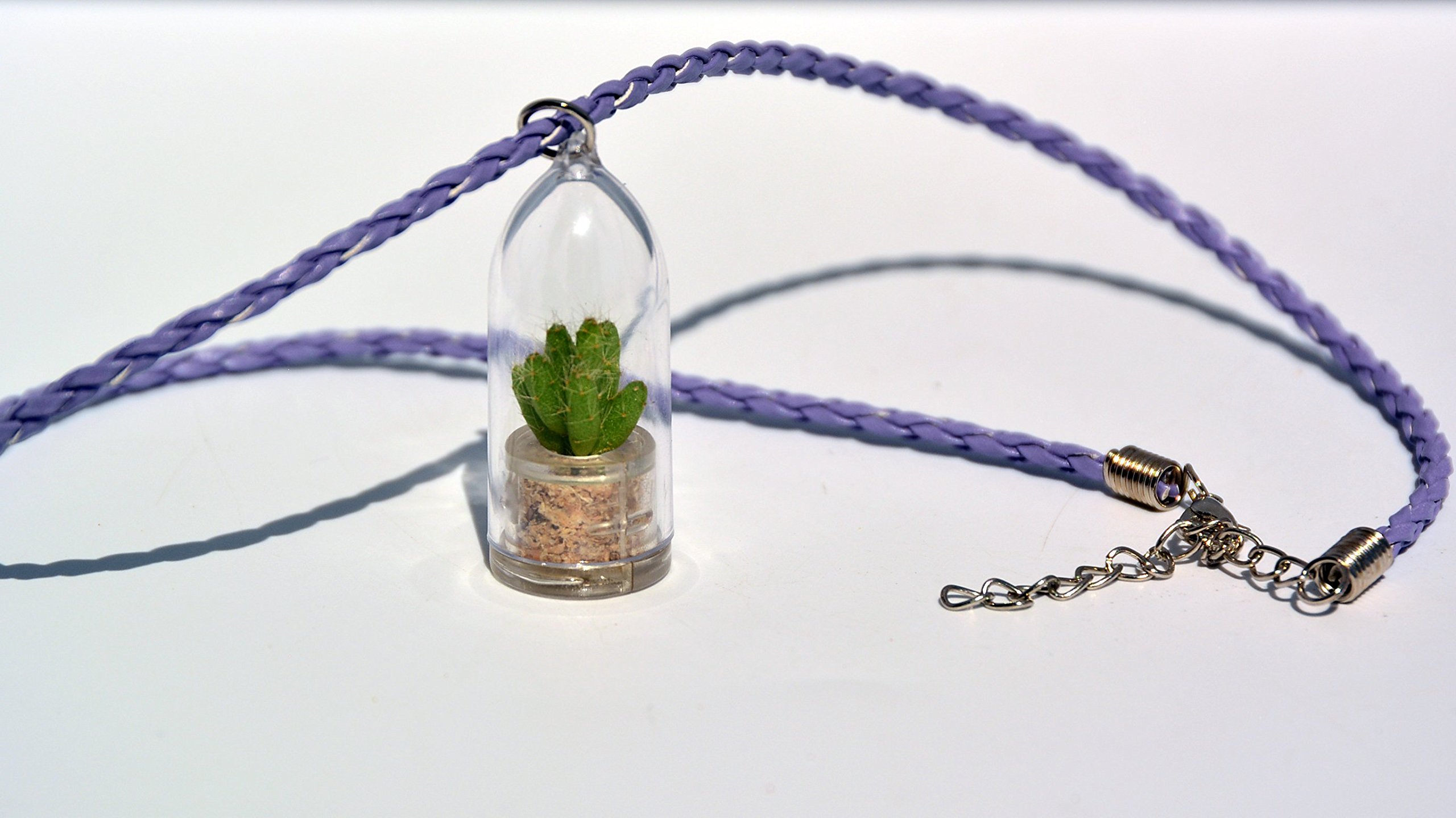 Live Apple Cactus Terrarium Necklace - 18
