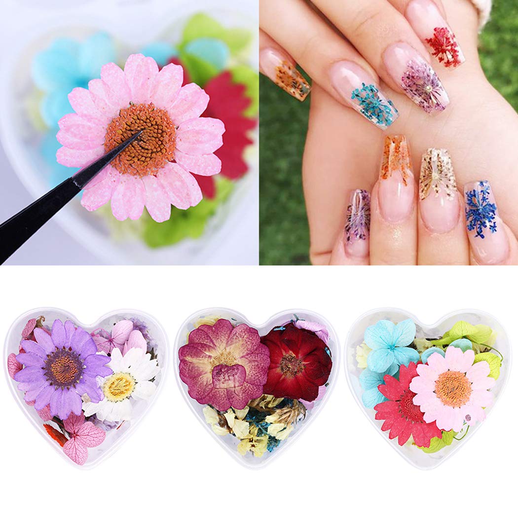 SOWUNO 3 Box Pressed Flower Nail Art Kit - 3D Mini Dried Flowers for Nail Decoration, DIY Crafts, Scrapbooking & Home Decor | Perfect for Wedding, Party & Gift Giving