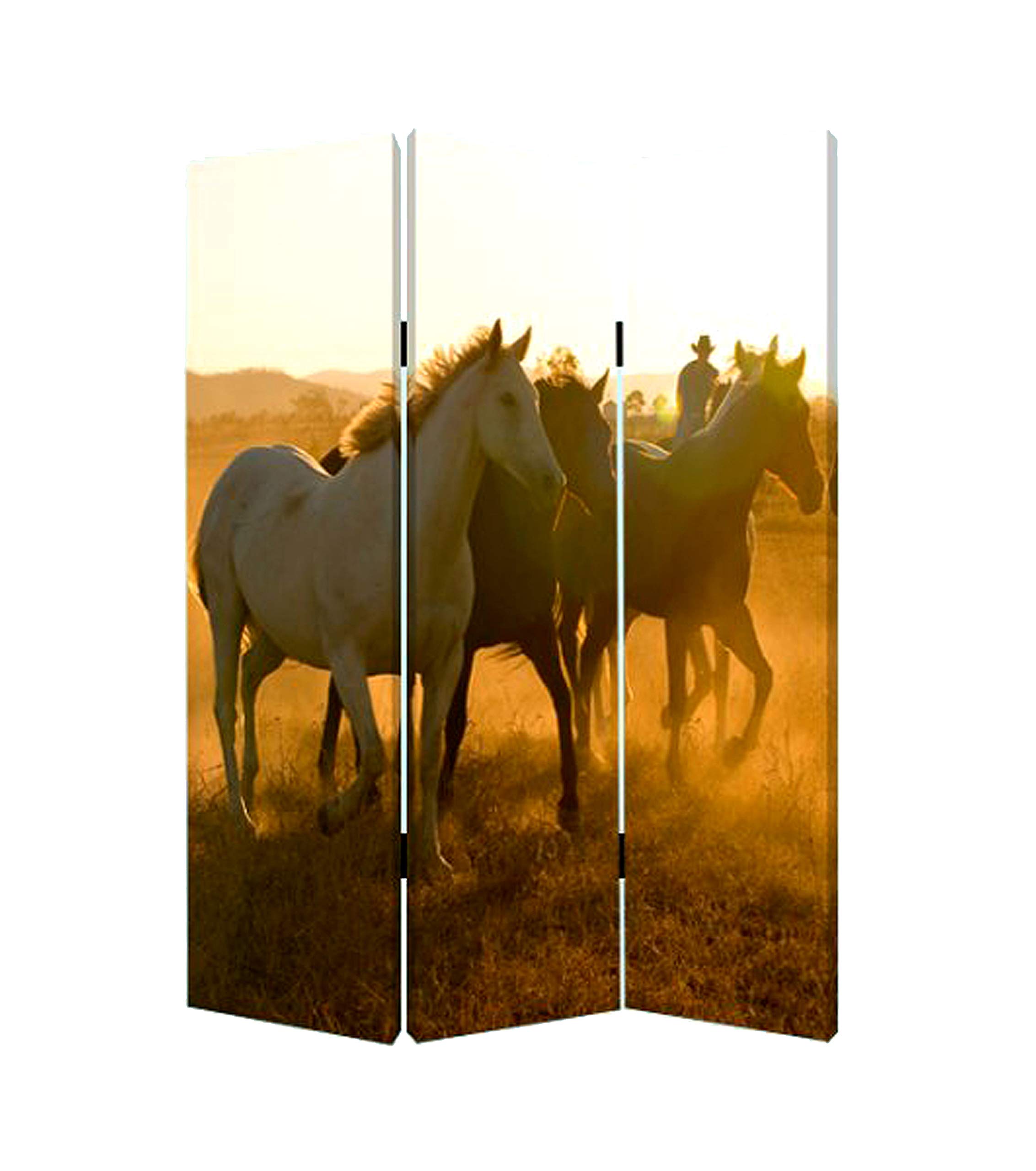 Round Room Divider Screen - 6-Panel Folding Privacy Partition for Home & Office - Perfect for Bedroom, Living Room, and Workspace Separation