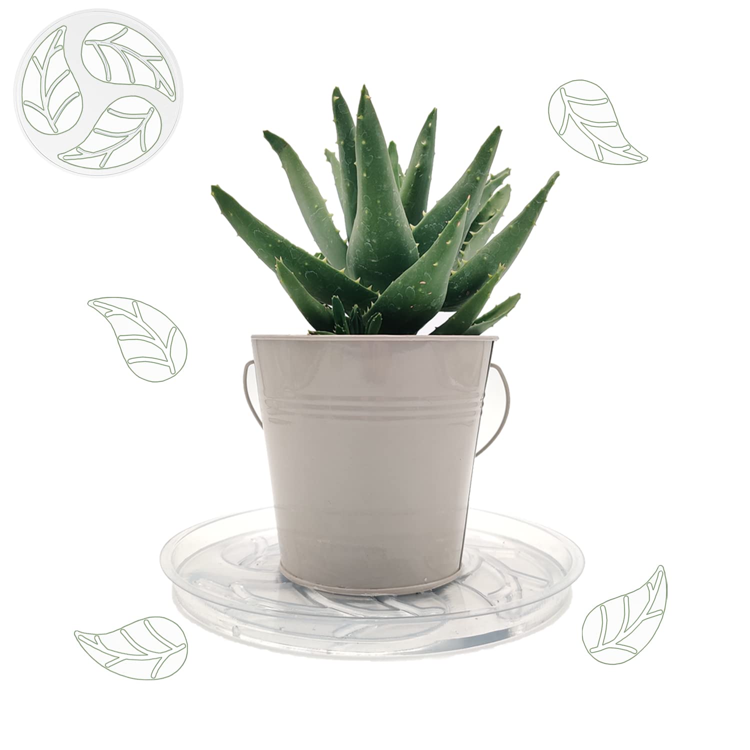 5 Pack 12 Inch Clear Plastic Plant Saucers - Heavy Duty Round Plant Drip Trays for Indoor/Outdoor Pots - Water Collection Base for Flower Pots, Planters & Gardening - Perfect for Home, Office & Garden Use