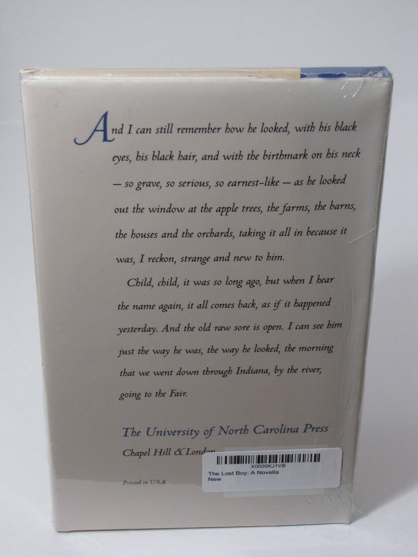 The Lost Boy: A Novella by Chapel Hill Books - A Gripping Coming-of-Age Story for Young Adults & Book Clubs